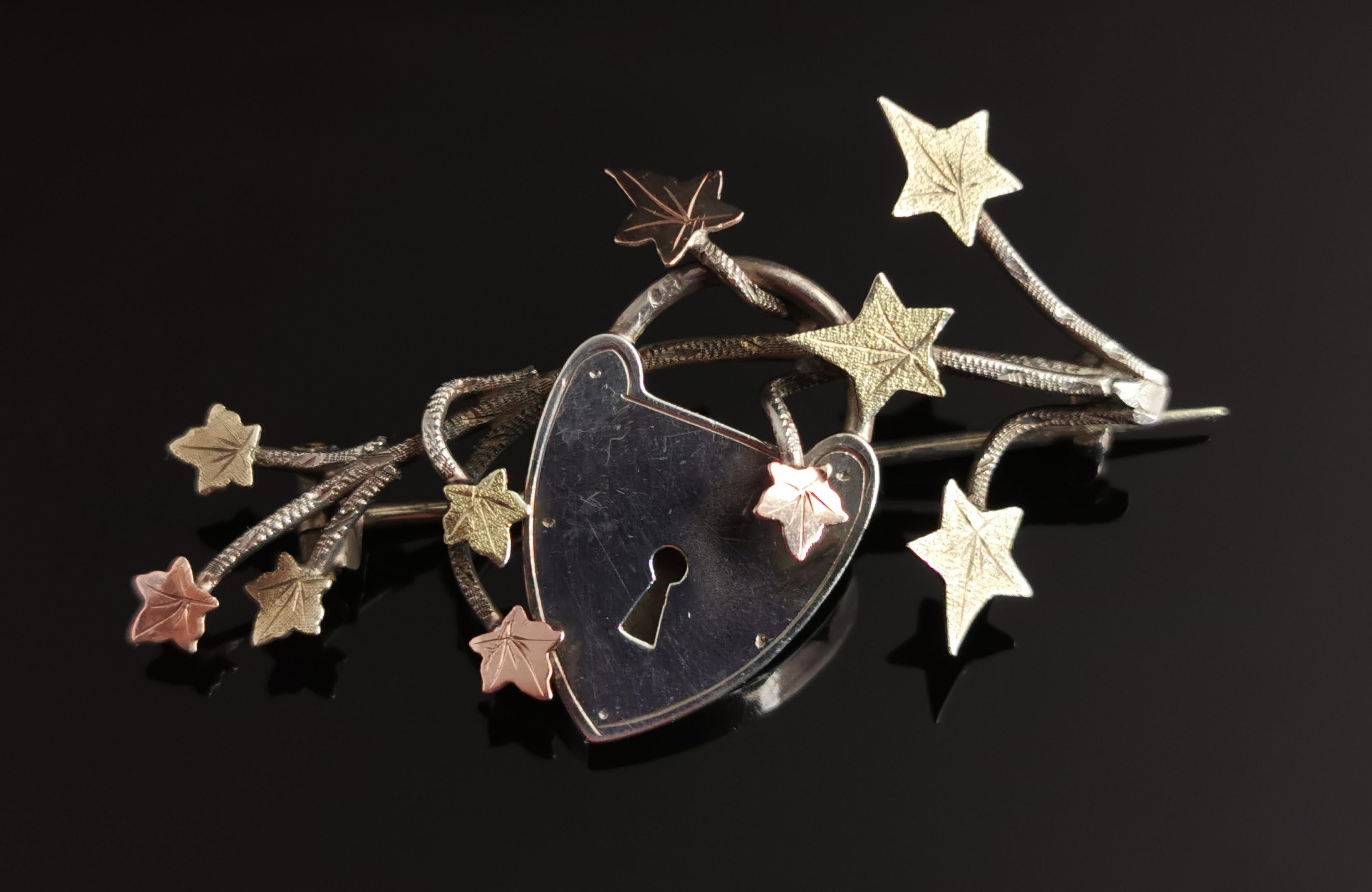 Victorian silver Ivy leaf and Heart padlock brooch, 9k gold, Aesthetic  5