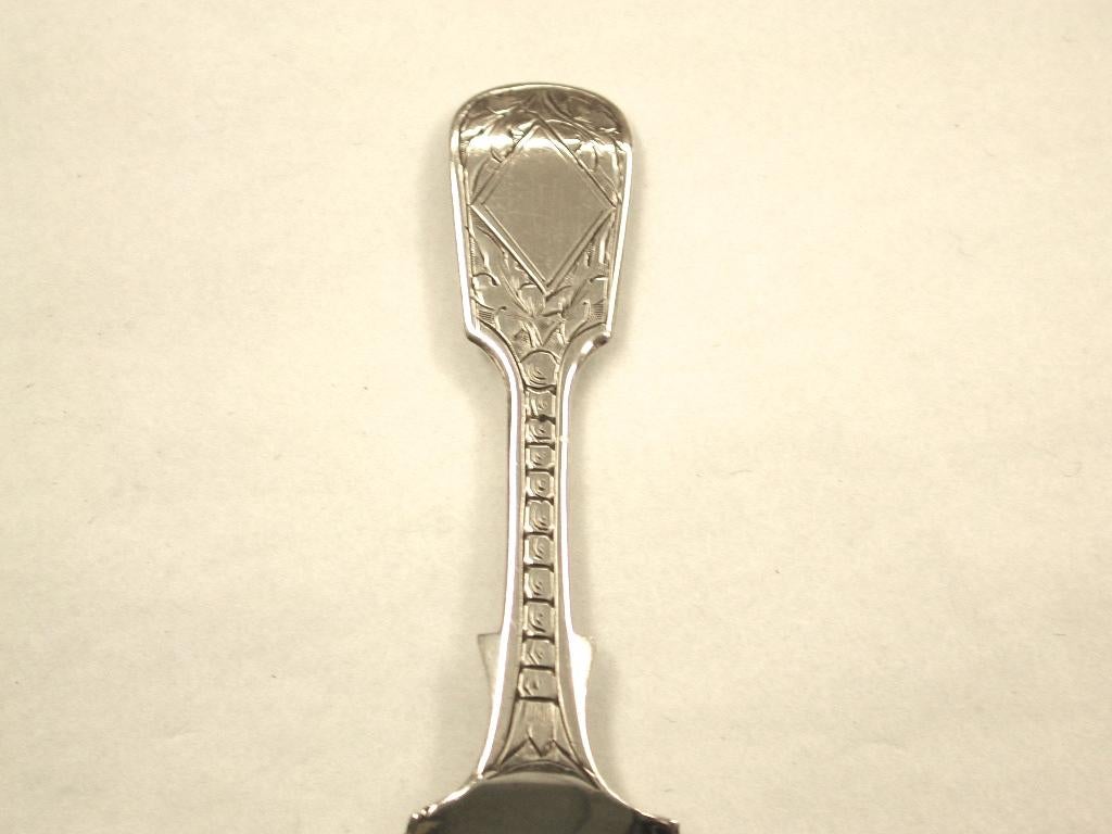tea caddy spoon silver