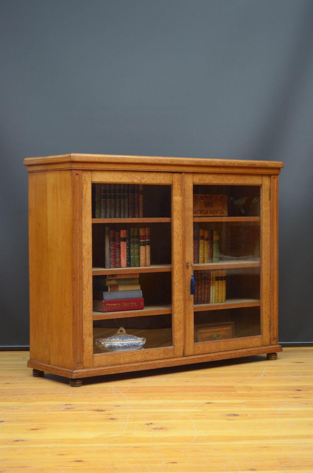 English Victorian Solid Oak Cabinet Bookcase