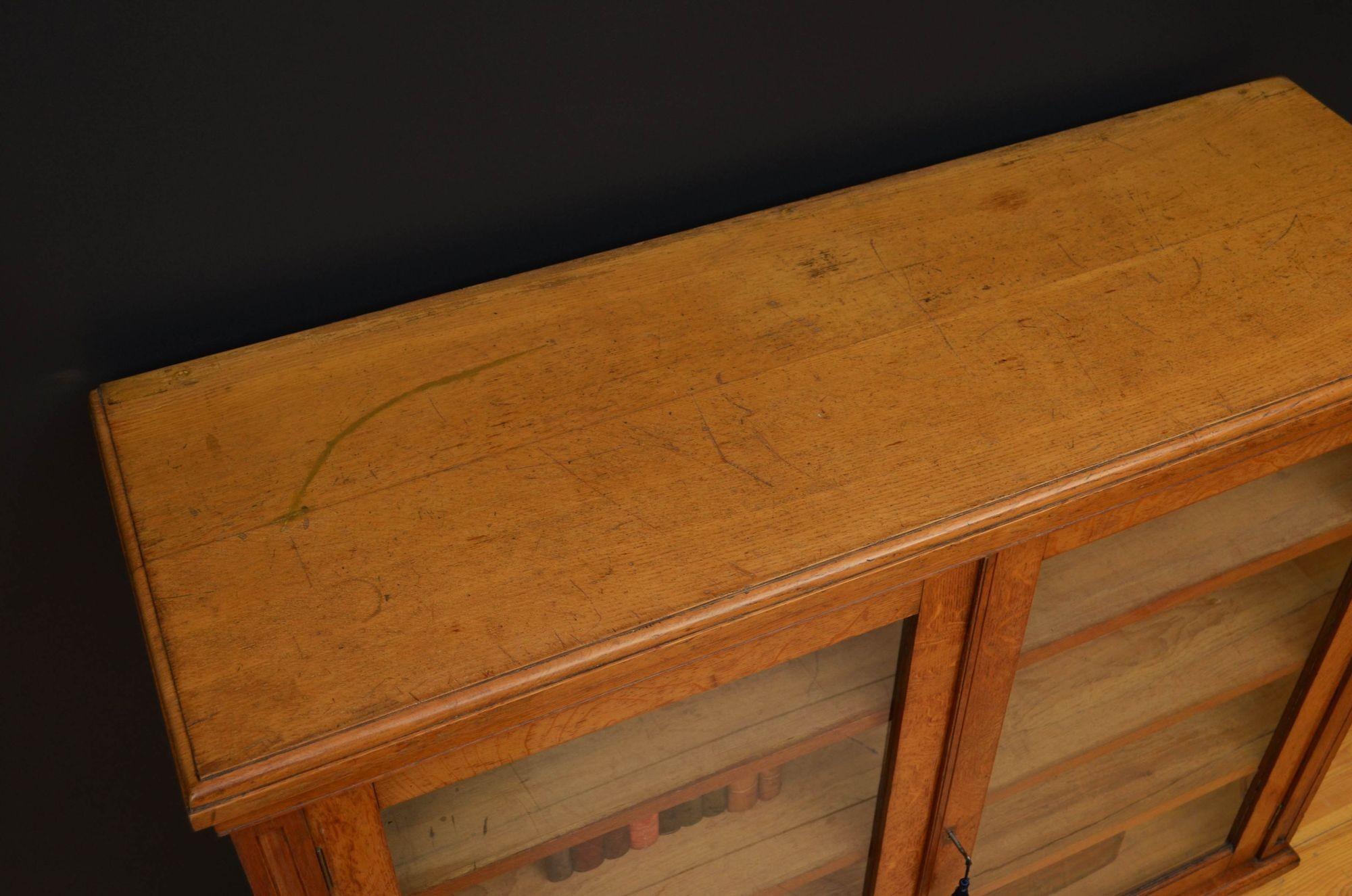 19th Century Victorian Solid Oak Cabinet Bookcase
