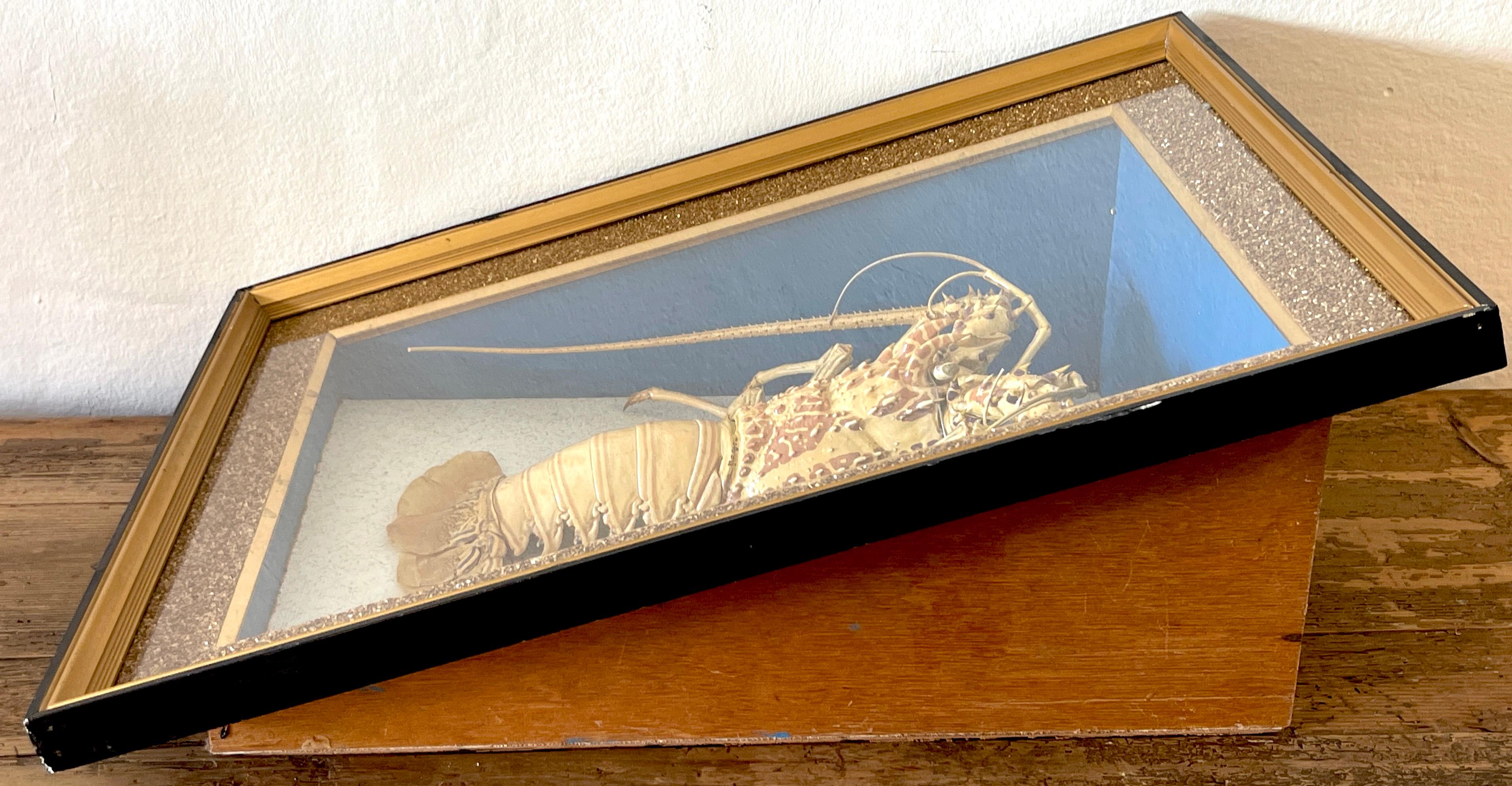 Victorian Specimen Albino Taxidermy Lobster in Giltwood Shadow Box Frame 3