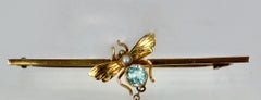 Victorian Spider and the Fly Brooch