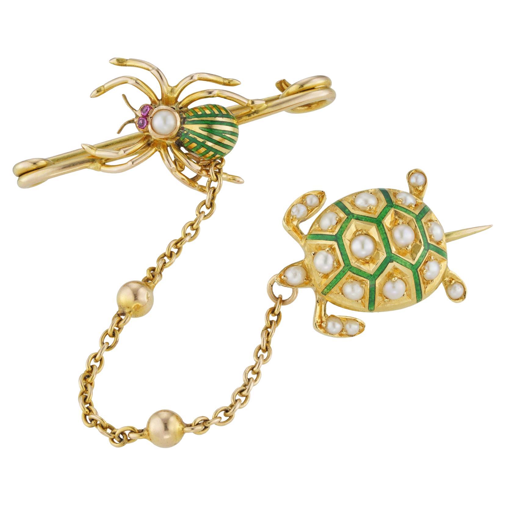 Victorian Spider And Turtle Brooch For Sale