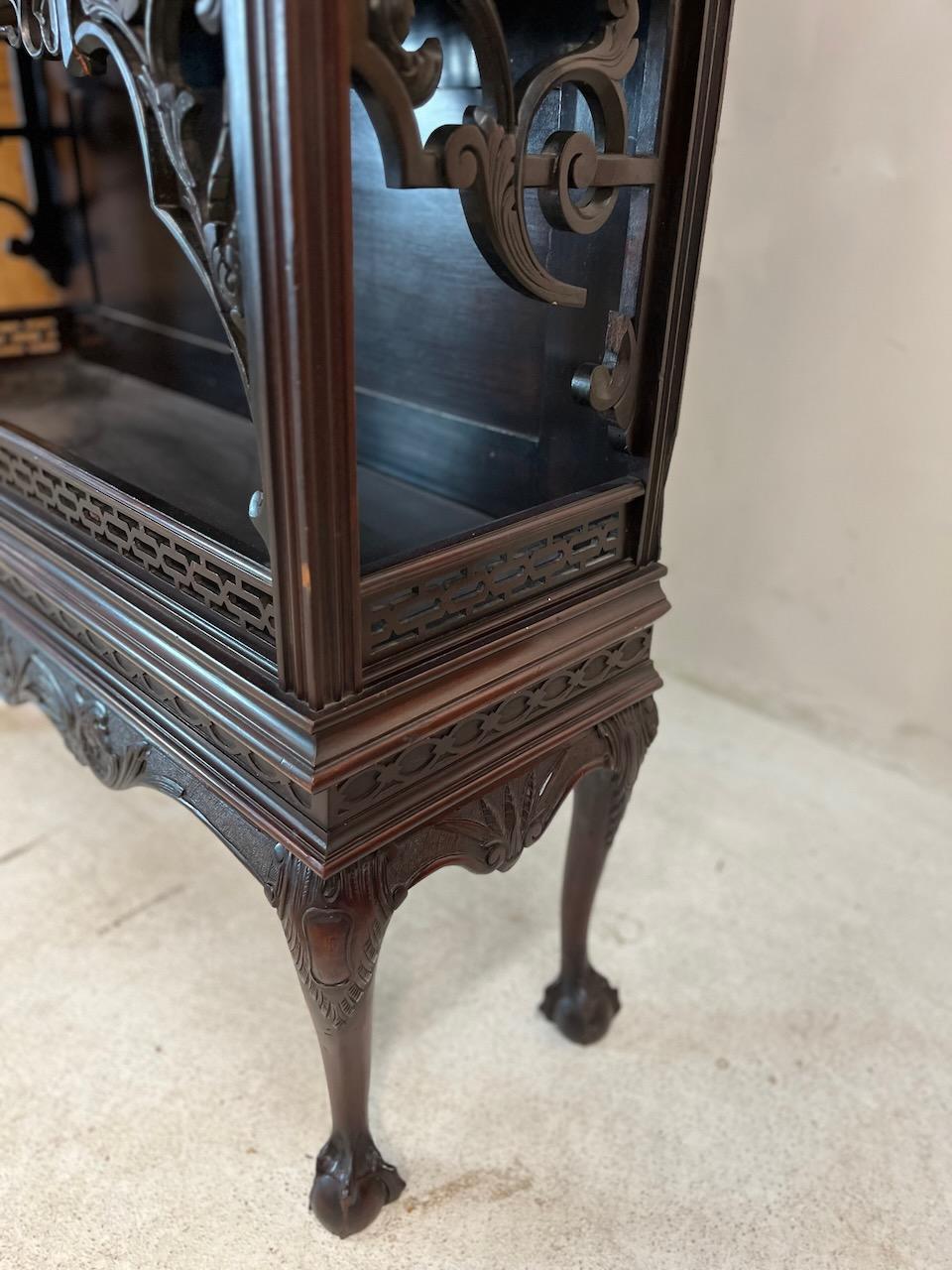 Victorian Standing Vitrine / Display Cabinet For Sale 5