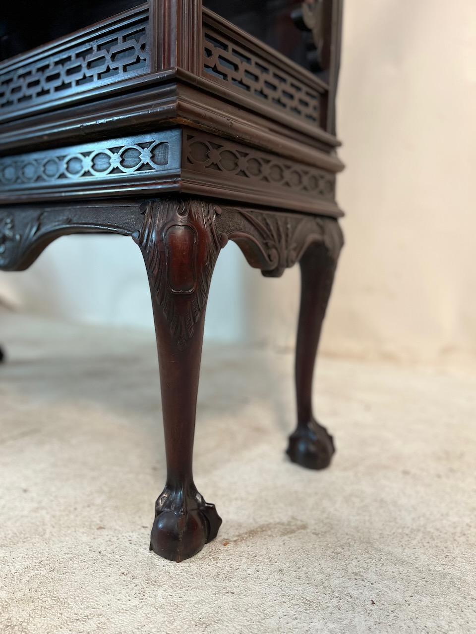 Victorian Standing Vitrine / Display Cabinet For Sale 7