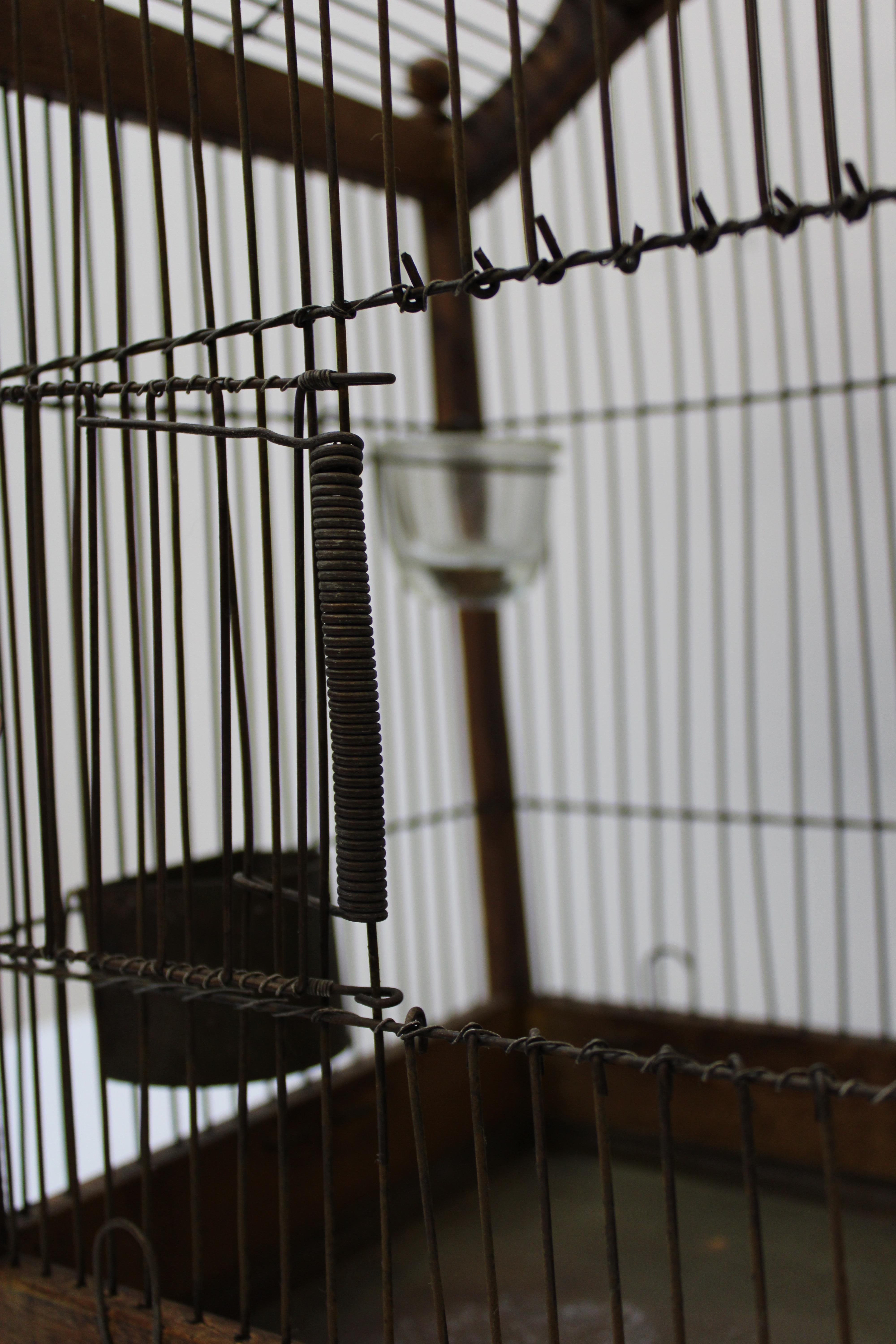 victorian style bird cage