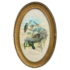 Victorian Style Framed Giltwood Watercolor On Paper Tropical Parrots / Birds