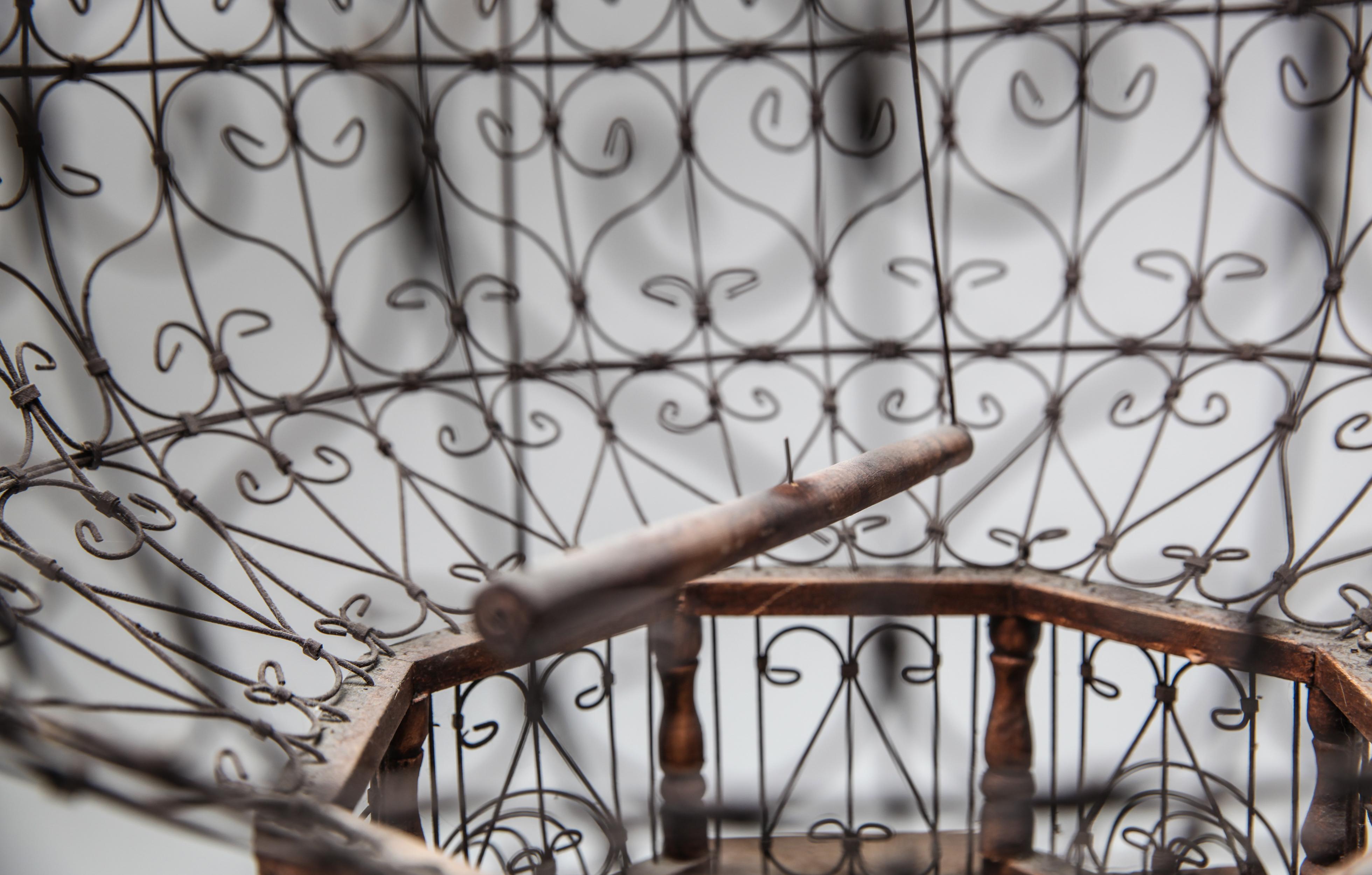 Victorian Style Ornamental Bird Cage 7