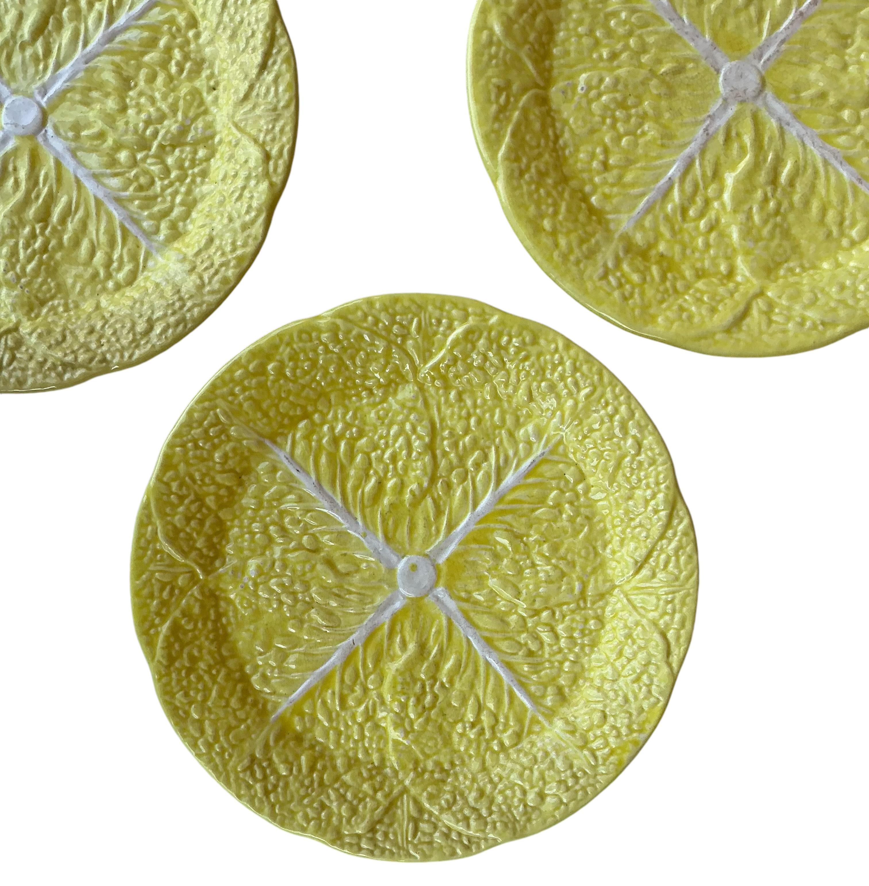 Il s'agit d'un ensemble d'assiettes à dessert ou à salade de style victorien en forme de chou portugais. Ils ne sont pas marqués et sont d'un jaune éclatant. La seule usure est un peu sur la face inférieure.