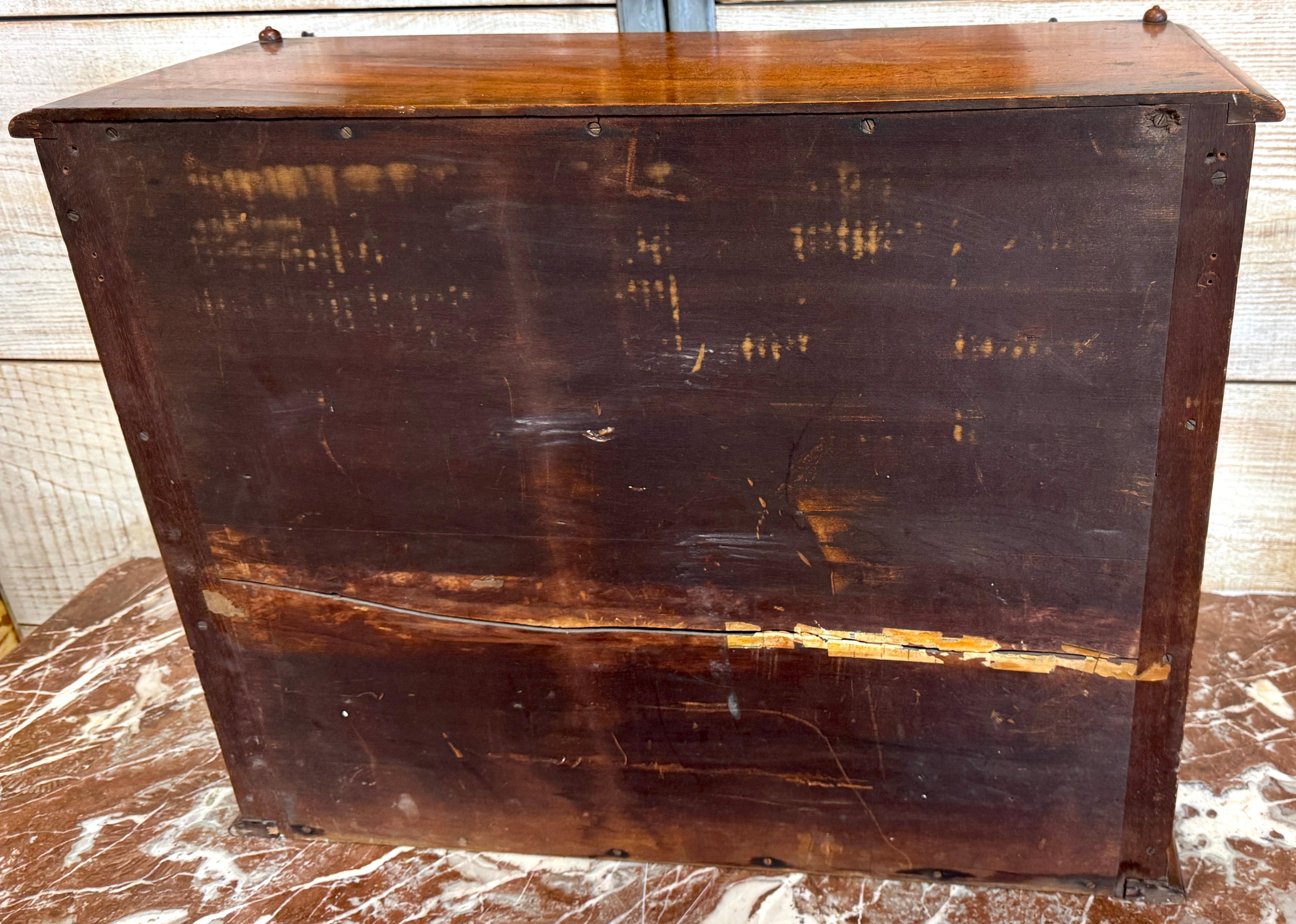 Diorama victoriano de taxidermia de cinco comadrejas en caja de diorama, hacia 1880 en venta 4