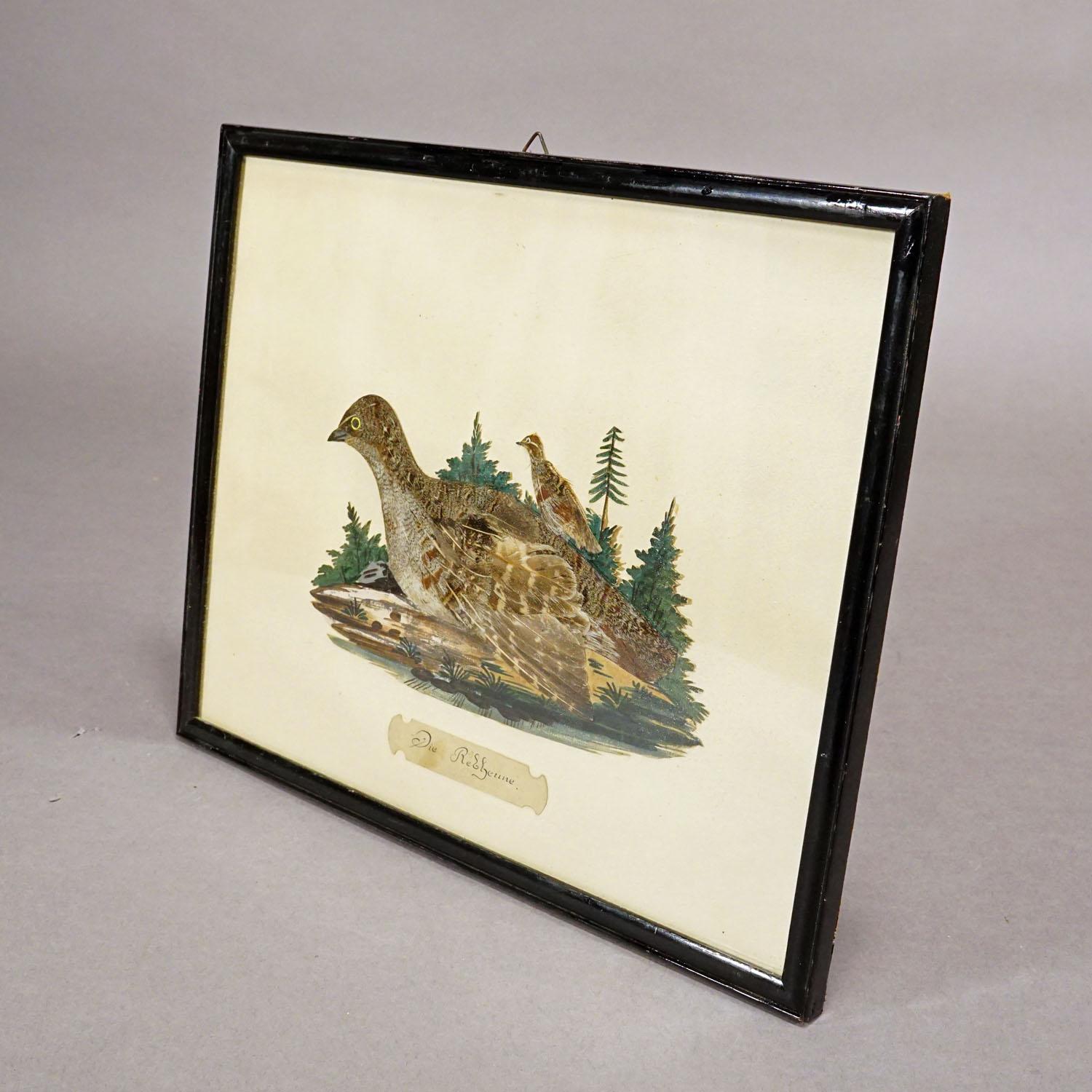 Victorian Taxidermy Diorama with Partridge, Germany ca. 1900 In Good Condition For Sale In Berghuelen, DE