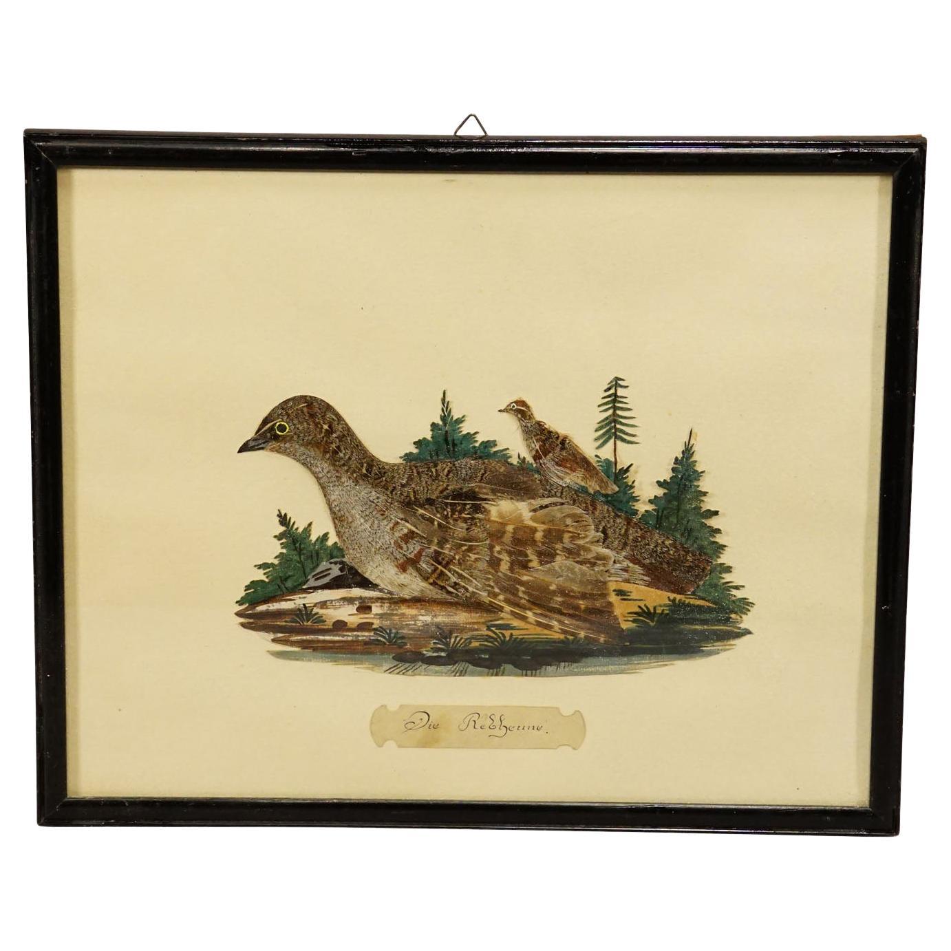 Taxidermie victorienne Diorama avec Partridge, Allemagne, vers 1900 en vente