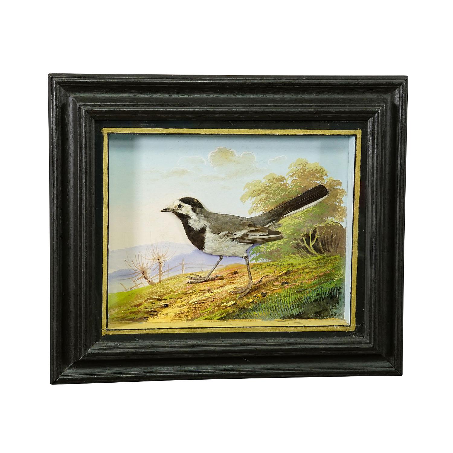Victorian Taxidermy Diorama with white wagtail ca. 1900

An antique diorama with a taxidermied white wagtail sitting in a handpainted landscape. Mounted in a wooden case with ebonized frame and glass coverage. On the back with handwritten paper