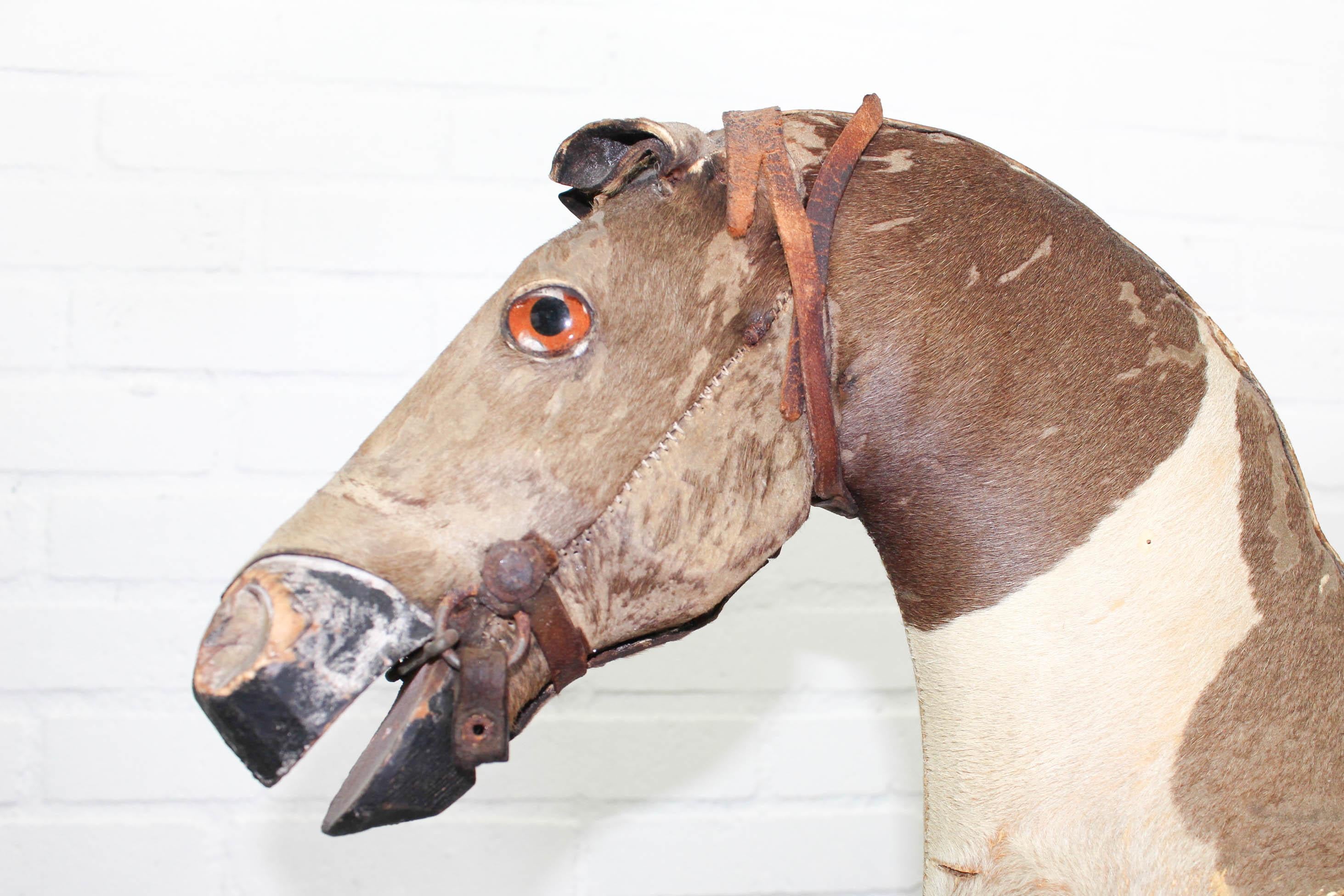 Victorian Taxidermy Toy Horse, Late 19th Century 5