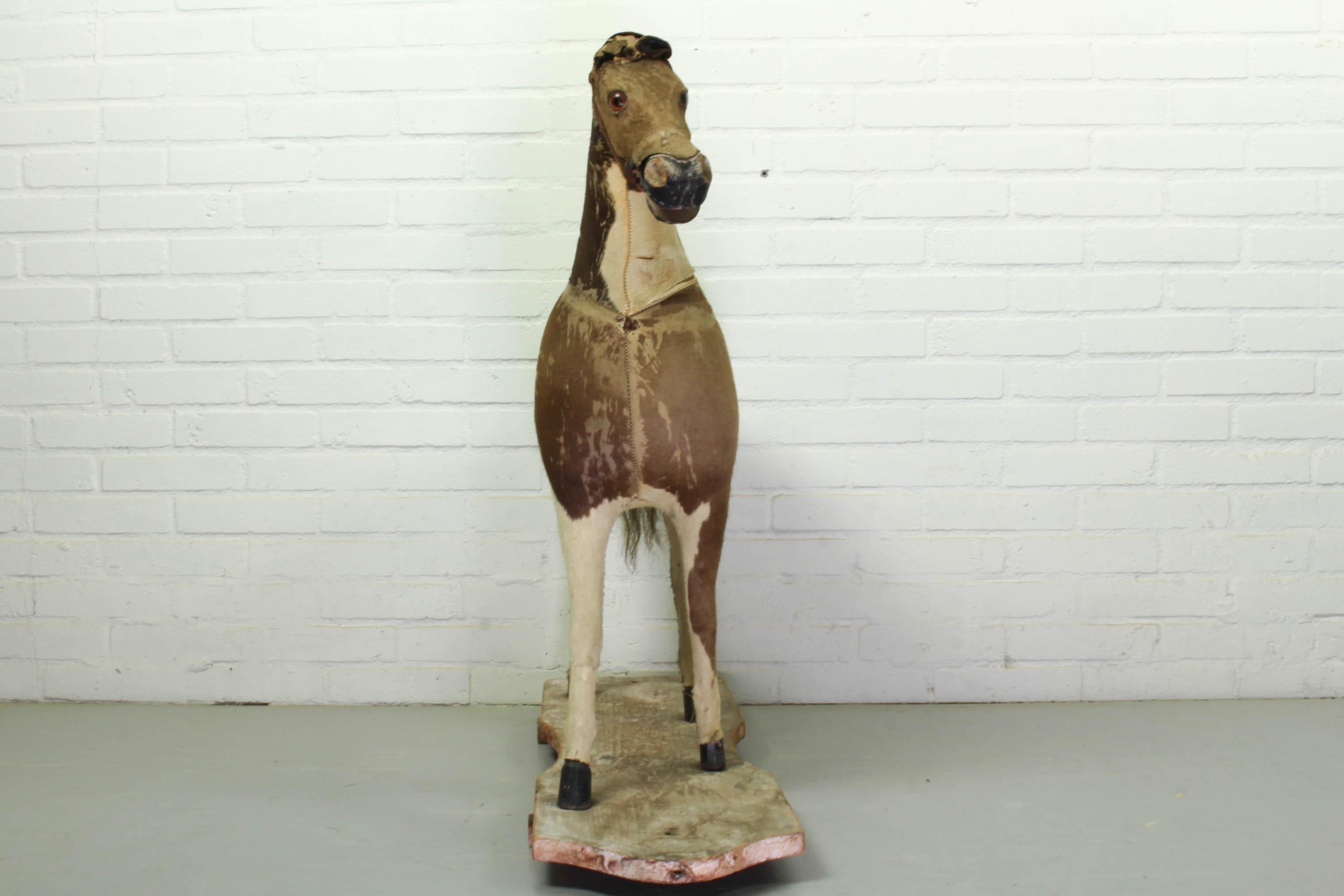 taxidermy horse for sale