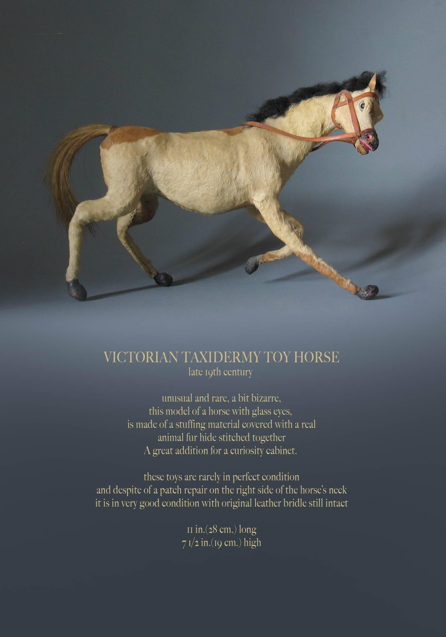 Cheval-jouet victorien en taxidermie, fin du XIXe siècle.

Inhabituel et rare, un peu bizarre, ce modèle de cheval avec des yeux de verre, est fait d'un matériau de rembourrage recouvert d'une véritable peau de fourrure d'animal cousue ensemble,
