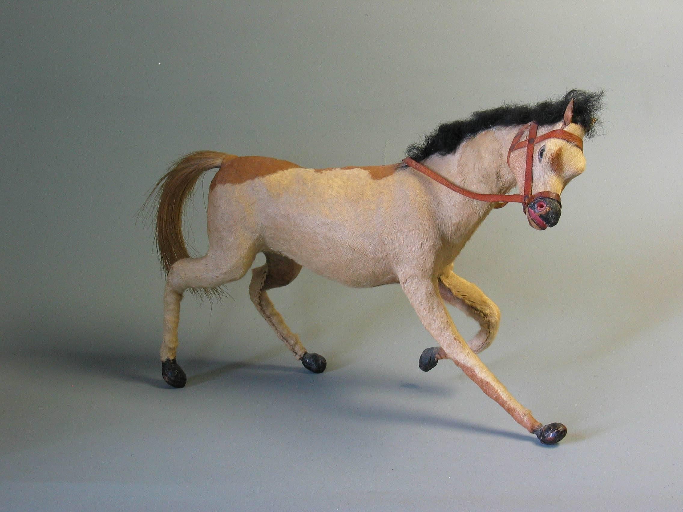 taxidermy horse for sale