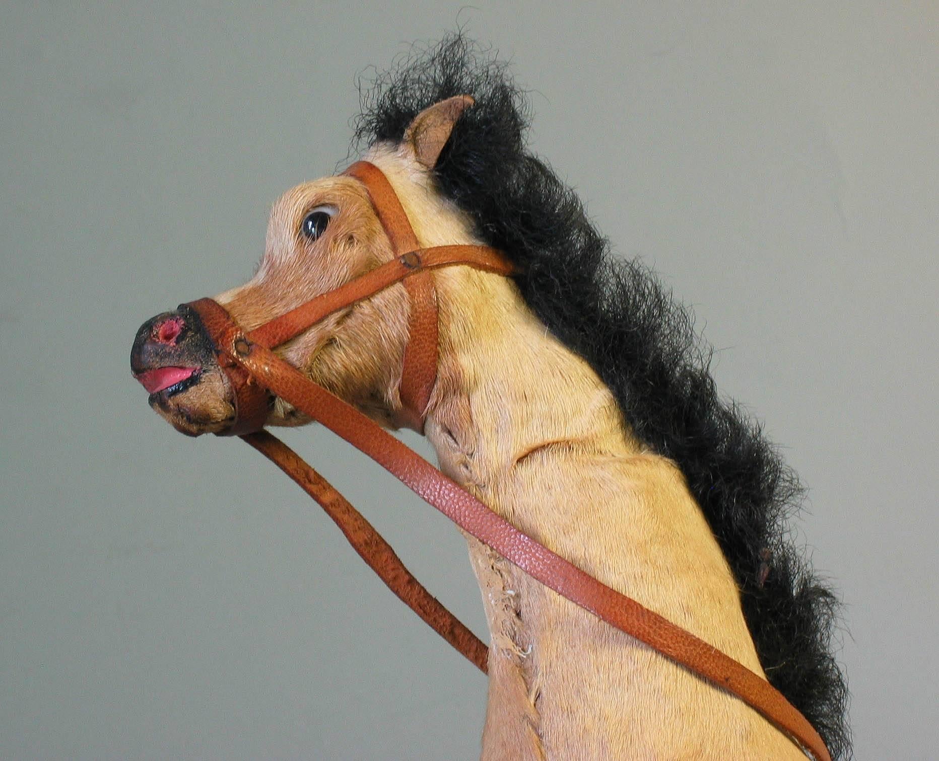 Victorian Taxidermy Toy Horse, Late 19th Century In Good Condition For Sale In Ottawa, Ontario