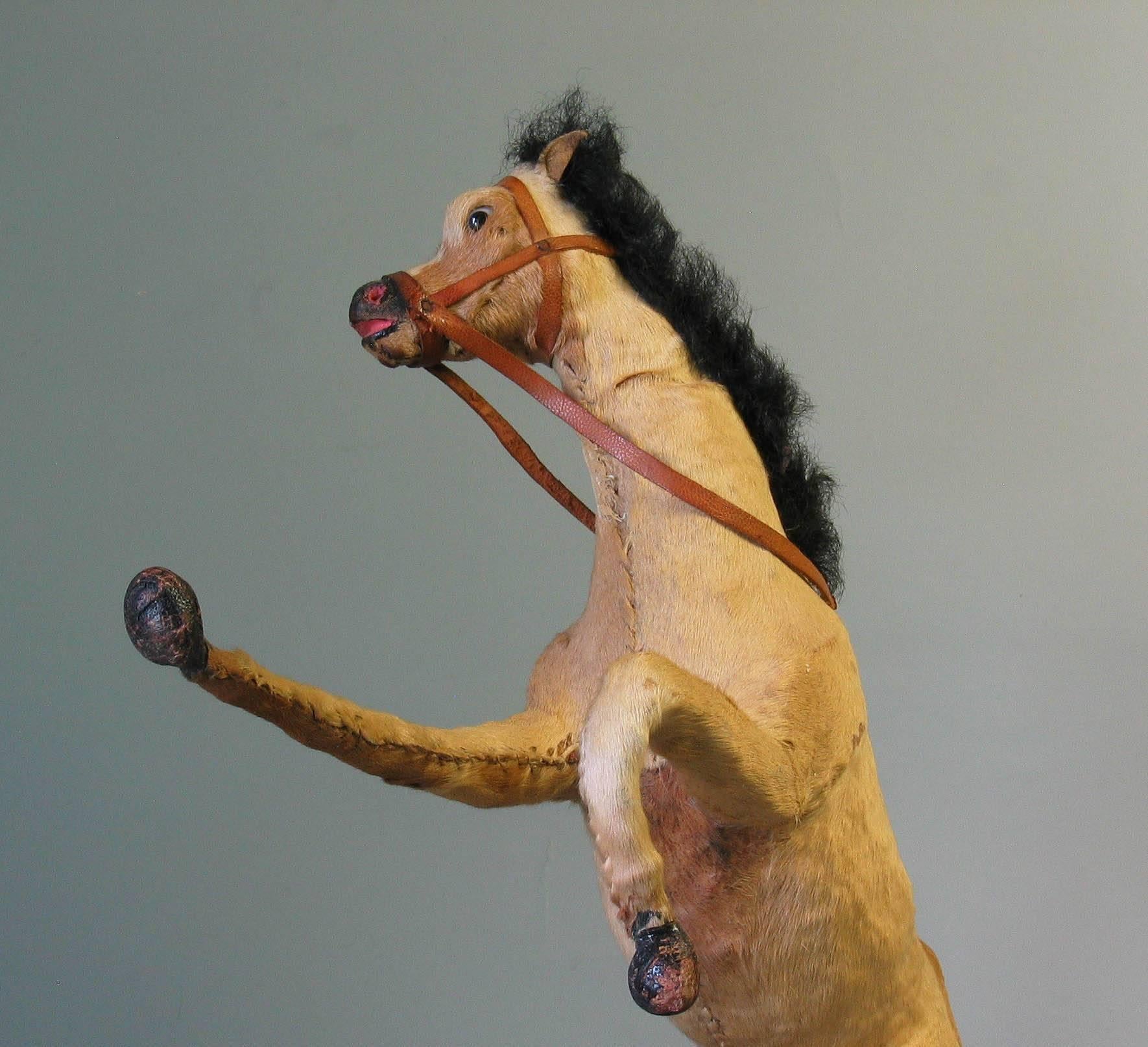 Animal Skin Victorian Taxidermy Toy Horse, Late 19th Century For Sale