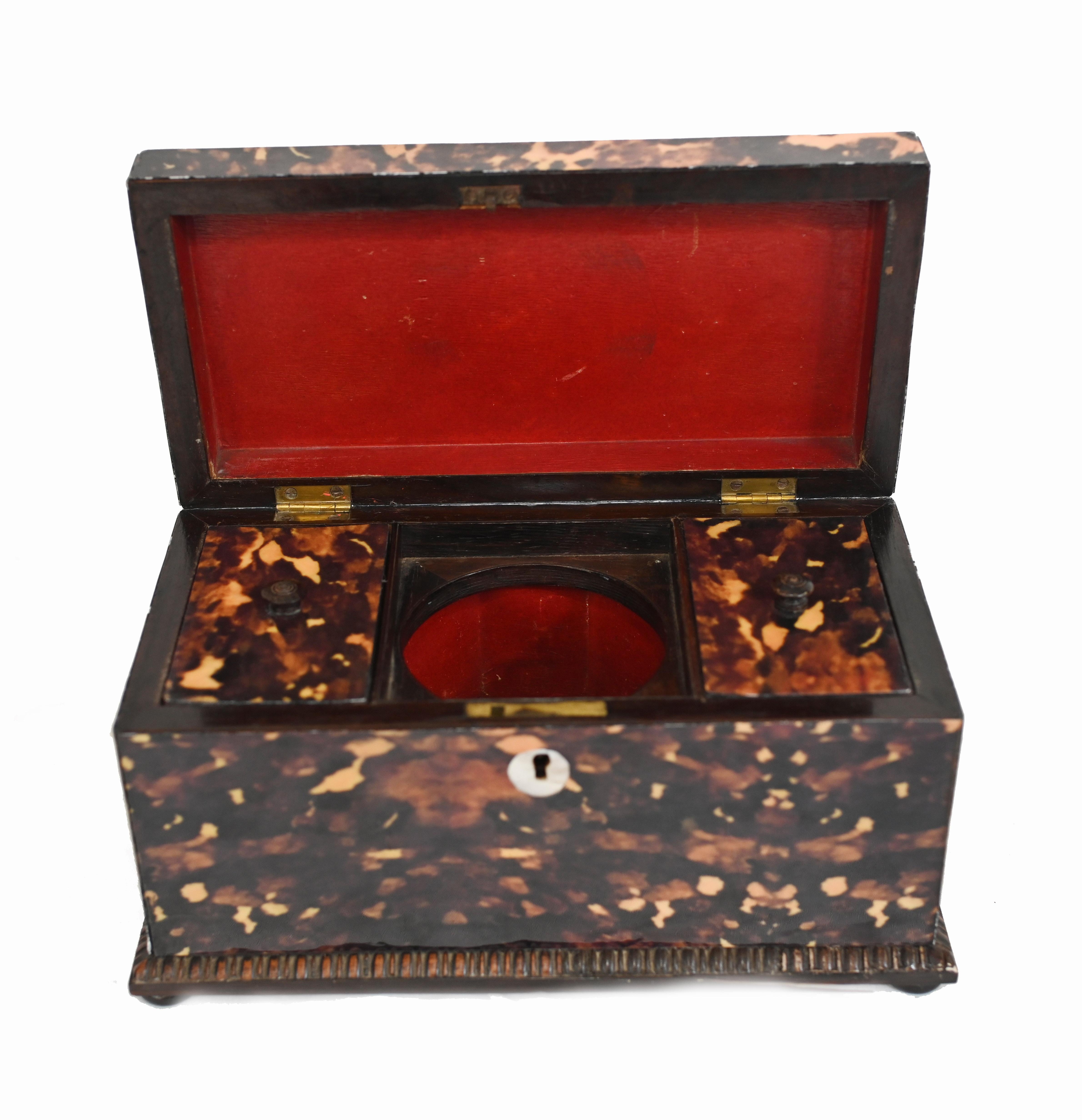 Victorian Tea Caddy Box Faux Tort 1890 For Sale 2