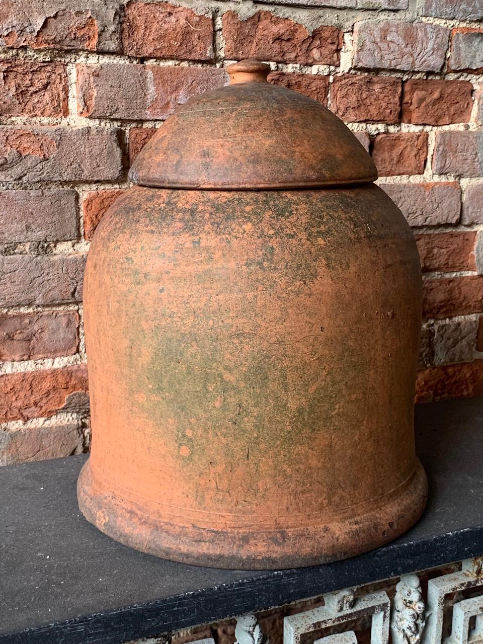 A nice late Victorian terracotta Rhubarb forcer with original lid which are often missing. The terracotta has a nice weathered patina. 
These were placed over the Rhubarb to force it to seek the light which makes the stems grow longer and also makes