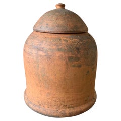 Victorian Terracotta Rhubarb Forcer