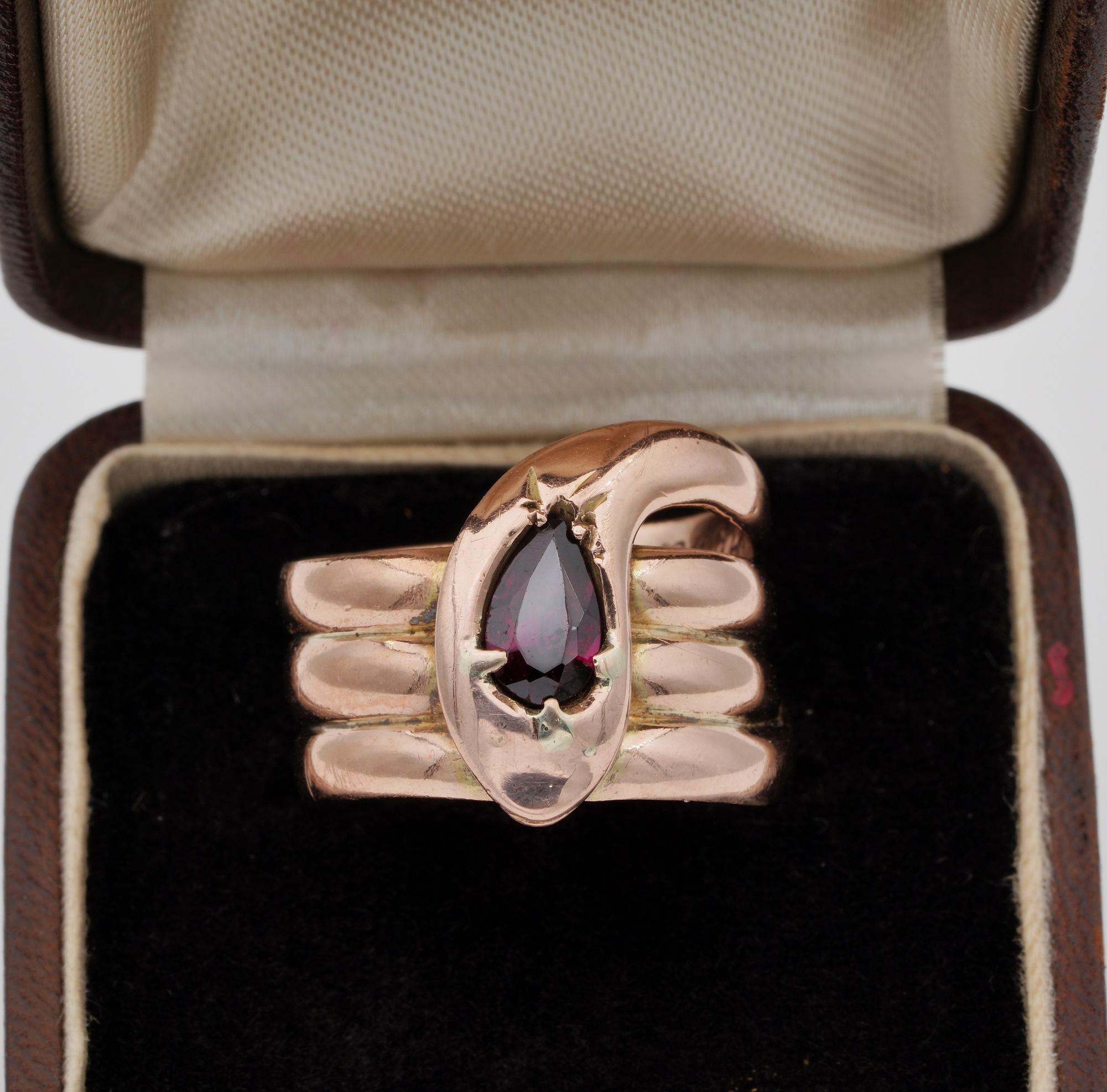 Remarkable sized huge triple coiled traditional Victorian solid 9 Ct rose gold ring in the shape of a stunning Snake. With an intense vibrant Red Pirope Garnet of 1.30 Ct giving remark to the snake head beautifully laid upon the coiling.
A classy