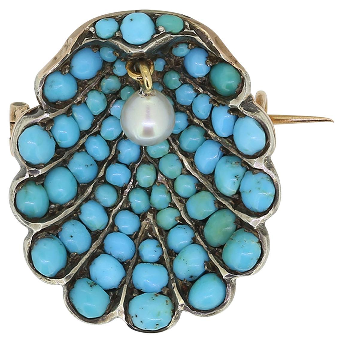 Victorian Turquoise and Pearl Clam Brooch For Sale