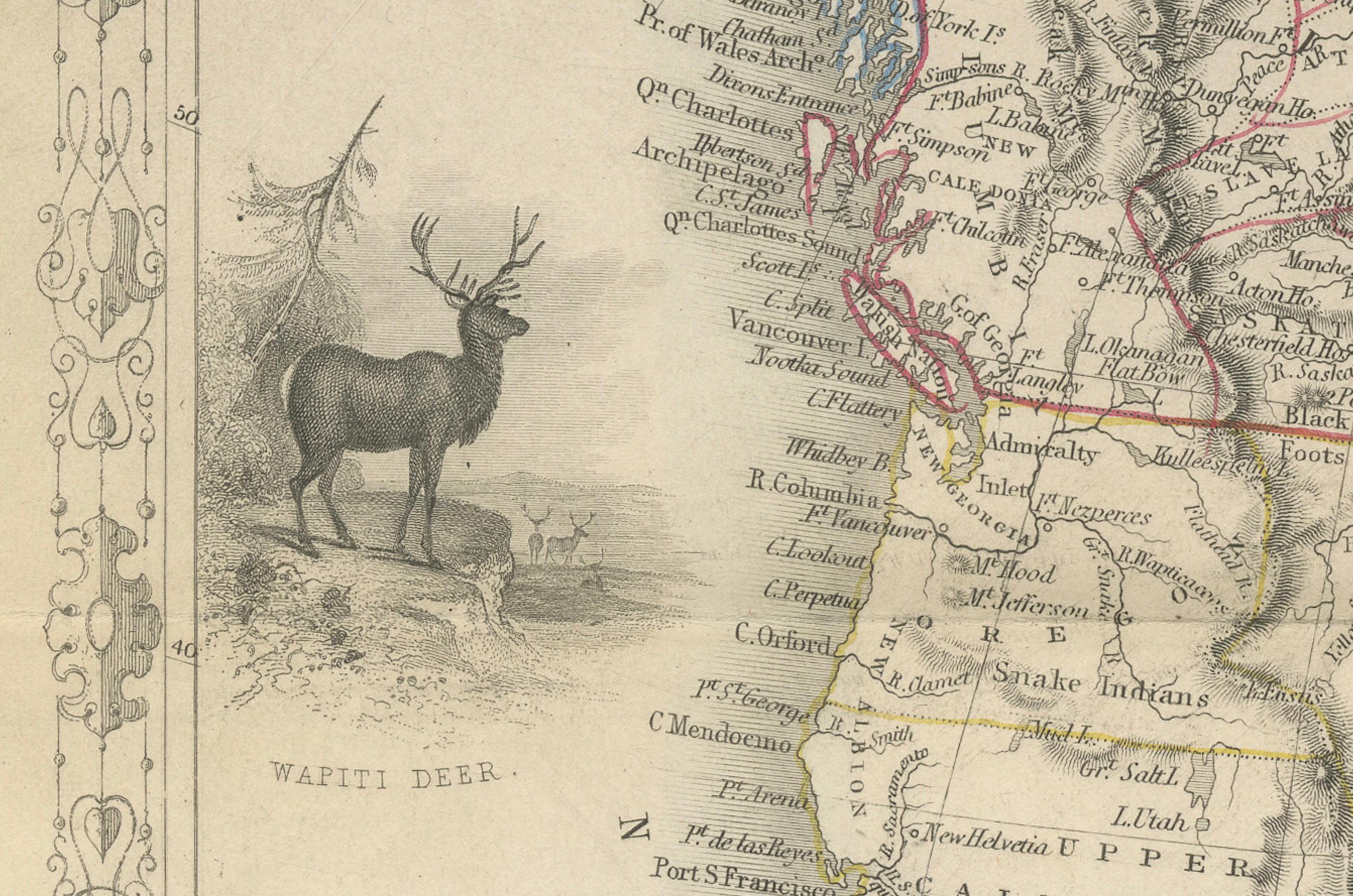 Viktorianische Visionen der Neuen Welt: Eine detaillierte Tallis-Karte von Nordamerika, 1851 im Zustand „Gut“ im Angebot in Langweer, NL