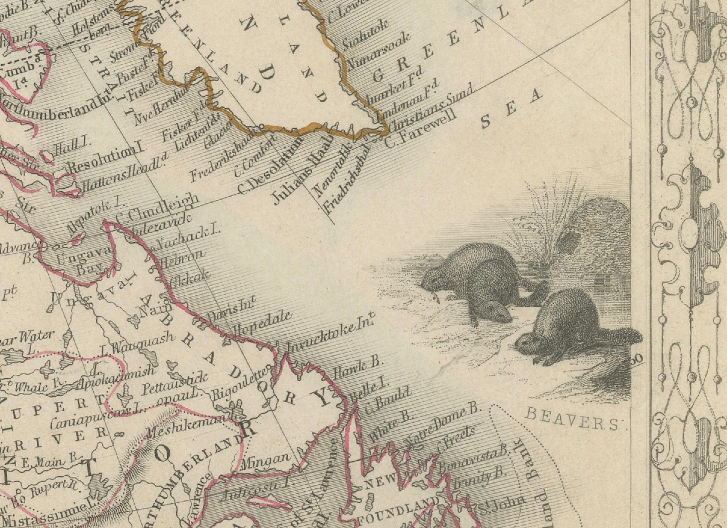 Viktorianische Visionen der Neuen Welt: Eine detaillierte Tallis-Karte von Nordamerika, 1851 im Angebot 3