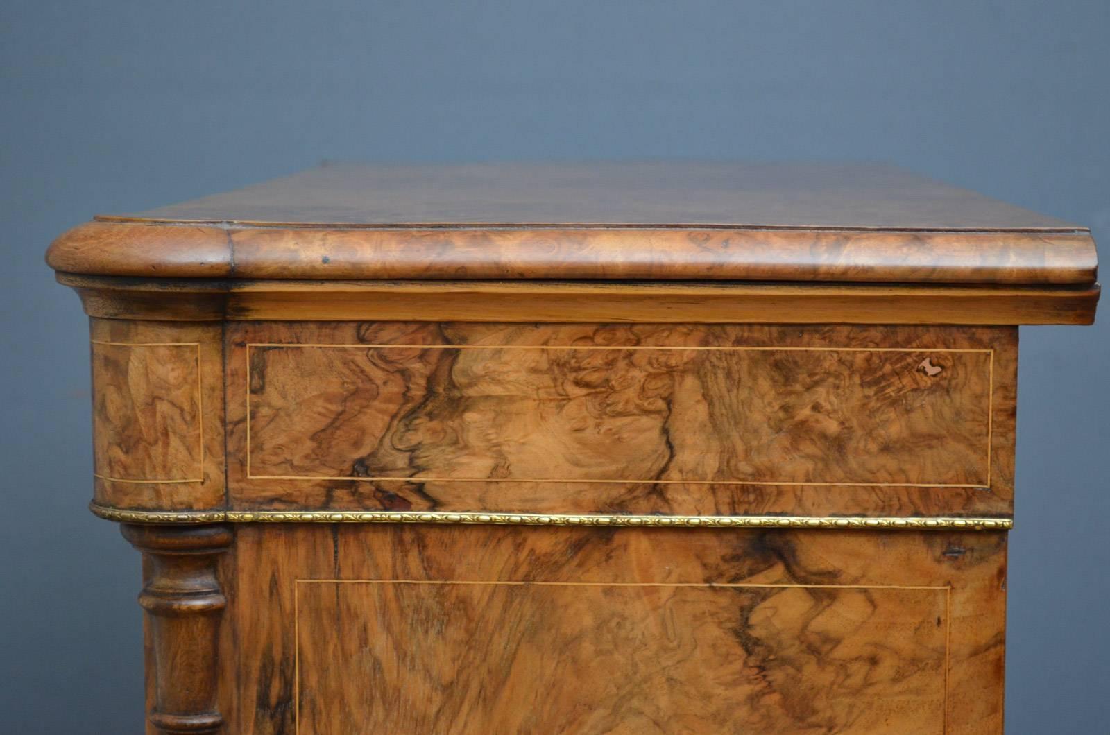 Victorian Walnut Pier Cabinet, Side Cabinet 4