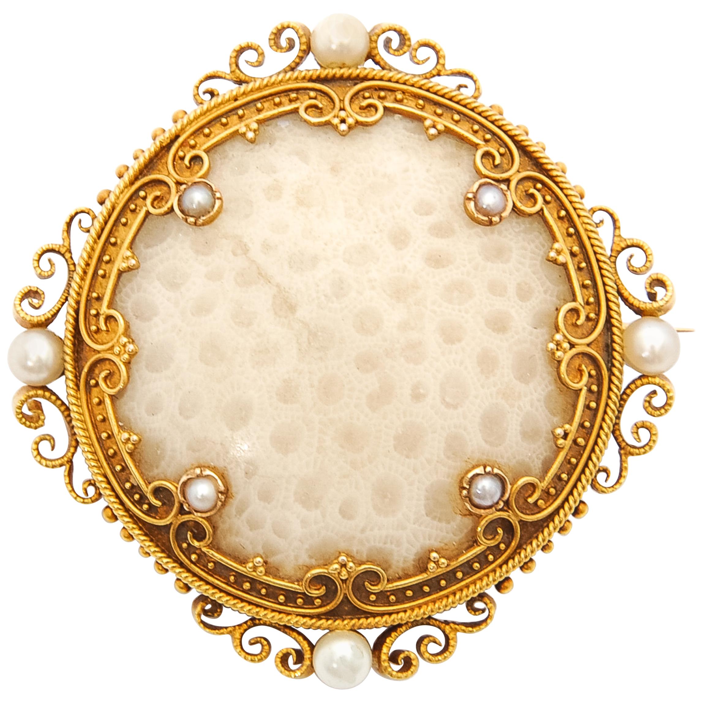 19th Century Fossilized Coral 18K Gold Seed Pearl Brooch