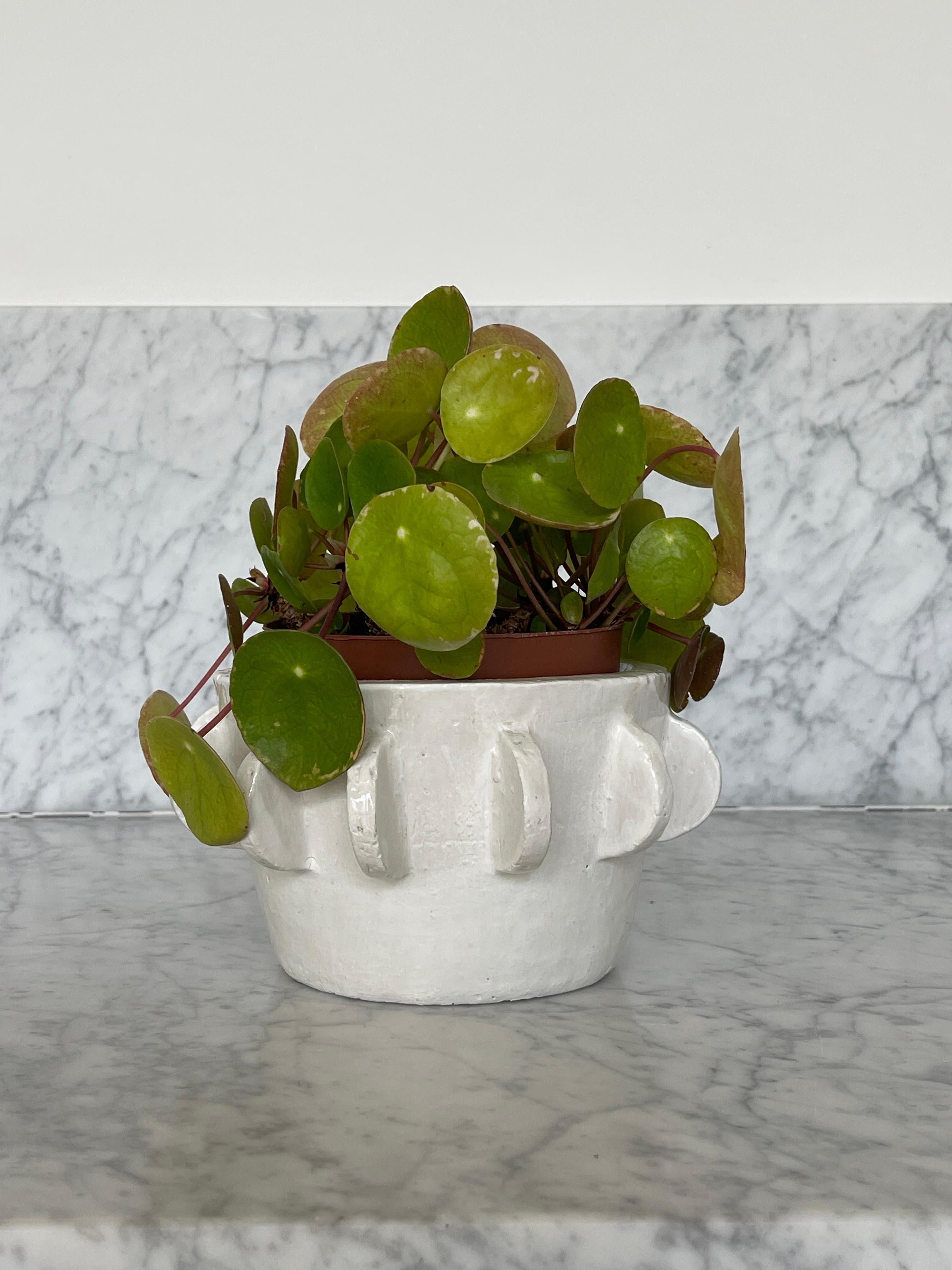 Handmade ceramic vessel or plant pot by Chilean Belgian artist Mariela Ceramica