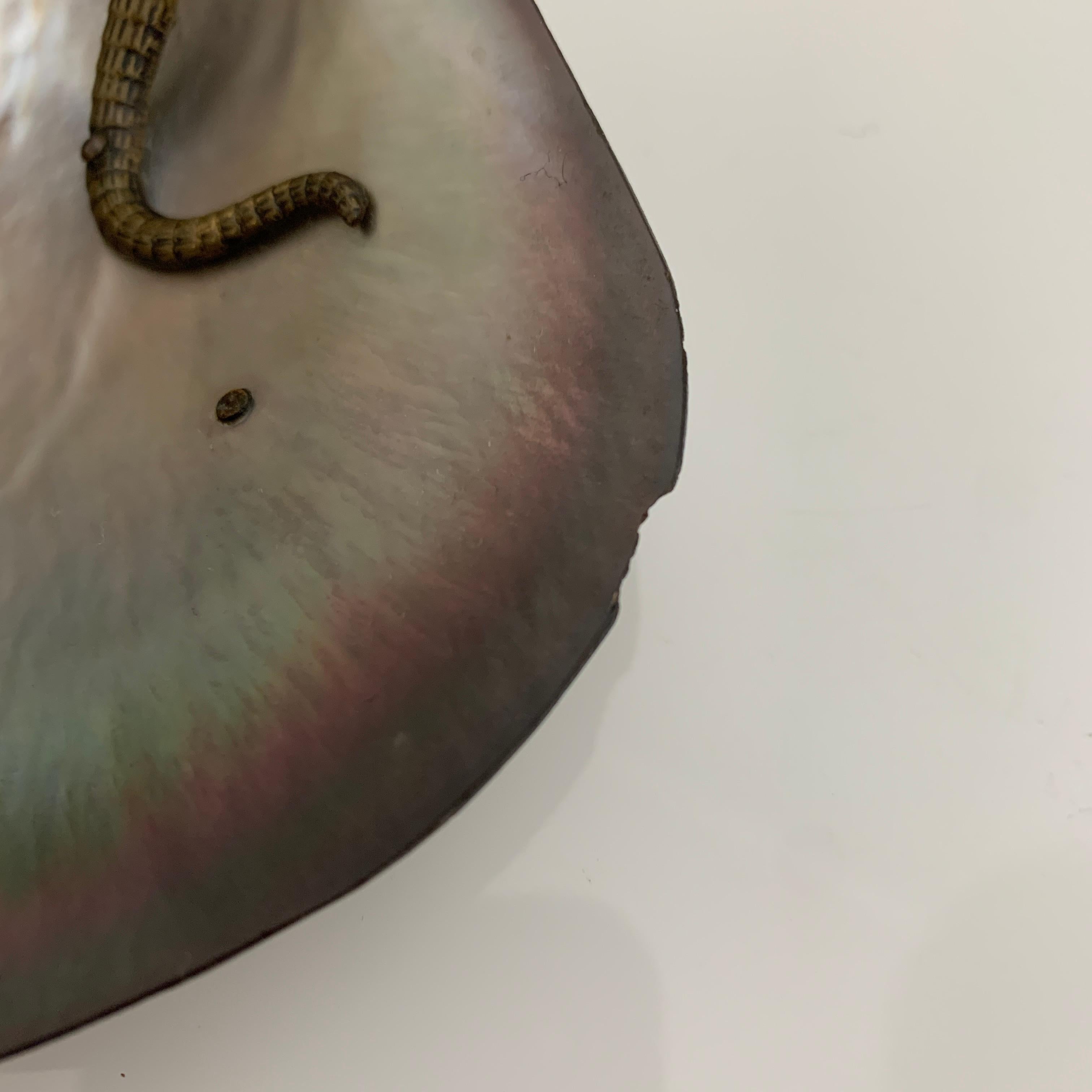 Vide poche en coquillage rehaussé d''une sculpture de lezard en bronze, 19ème siècle  en vente 4