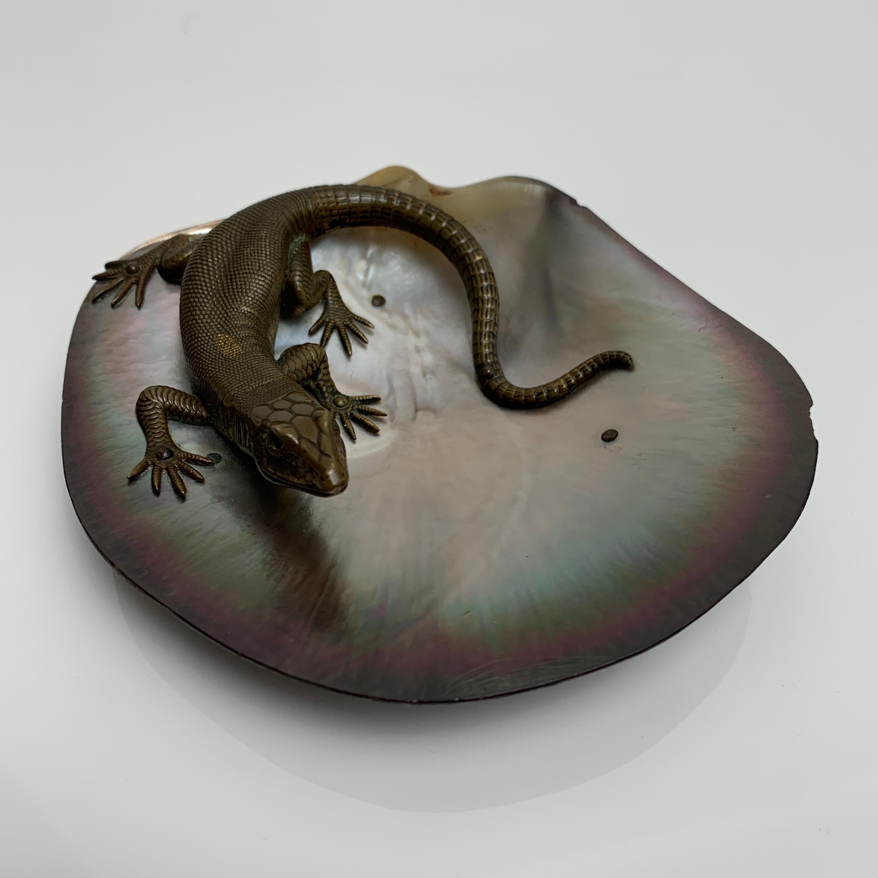 Vide poche en coquillage rehaussé d''une sculpture de lezard en bronze, 19ème siècle  Bon état - En vente à PONT-AUDEMER, FR
