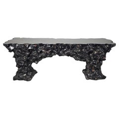 Consola de concha Videre Licet de Daniele Albright & Stefan Lawrence, 2017