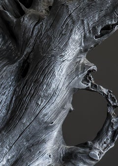 Videre Licet, "Ramiformi affumicati", Sedia, 2015