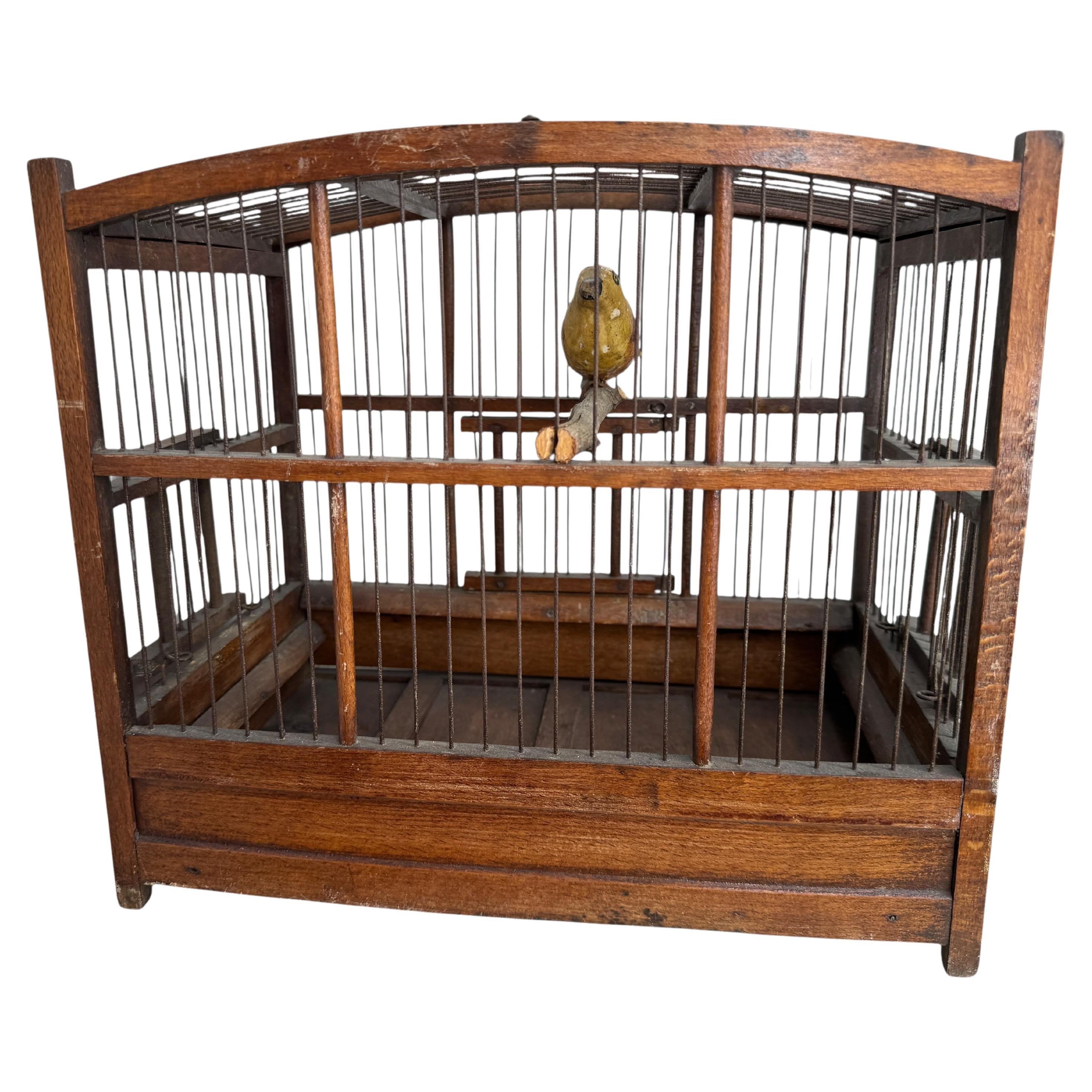 Viechtauer Hand Carved Wood Bird in Folk Art Birdcage Austria 1900s or older