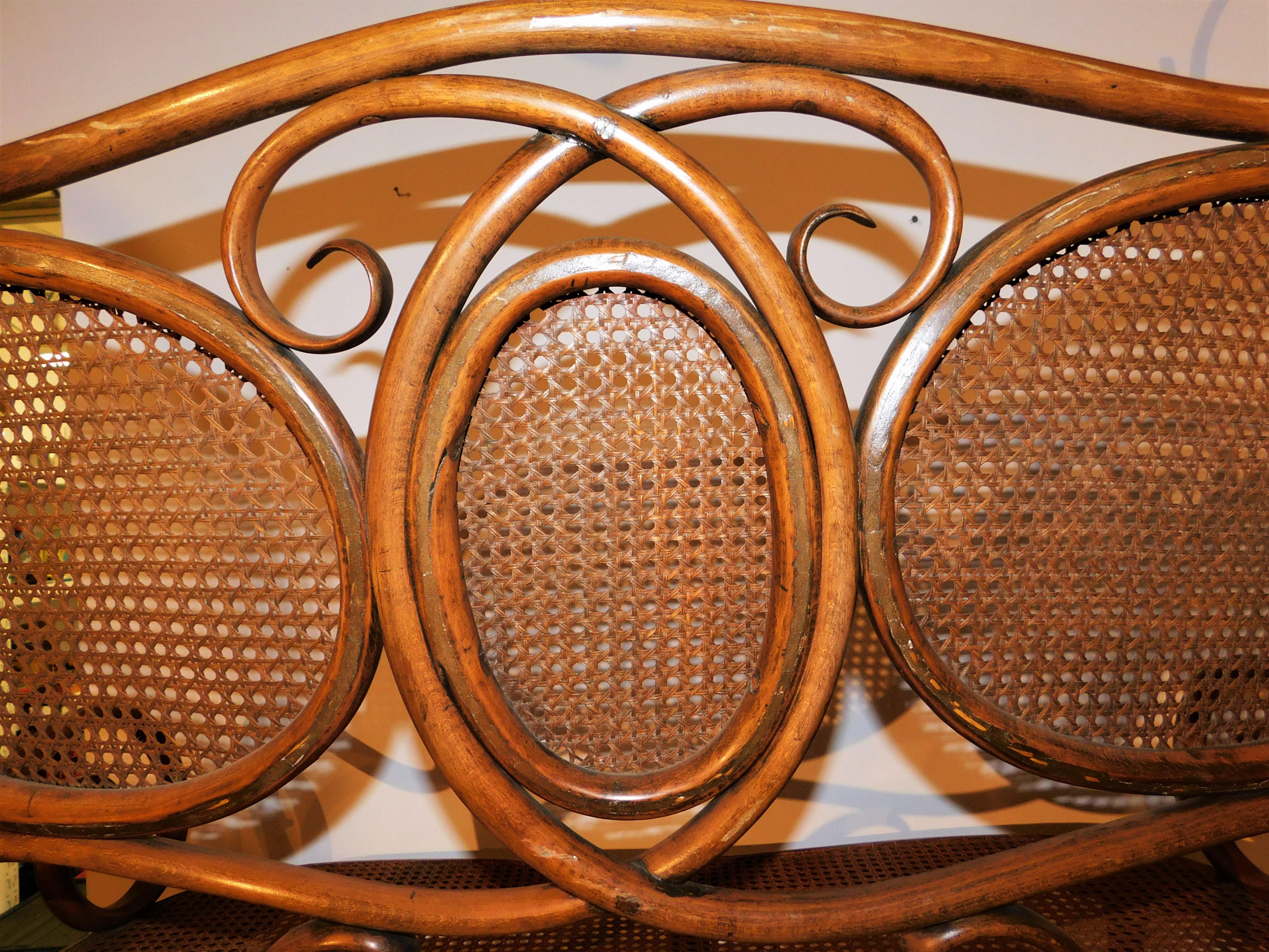 Banc en bois courbé Art Nouveau du sécessionniste viennois Gebruder Thonet 4