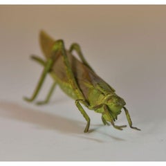 Vienna Bronze 19th Century Grasshopper
