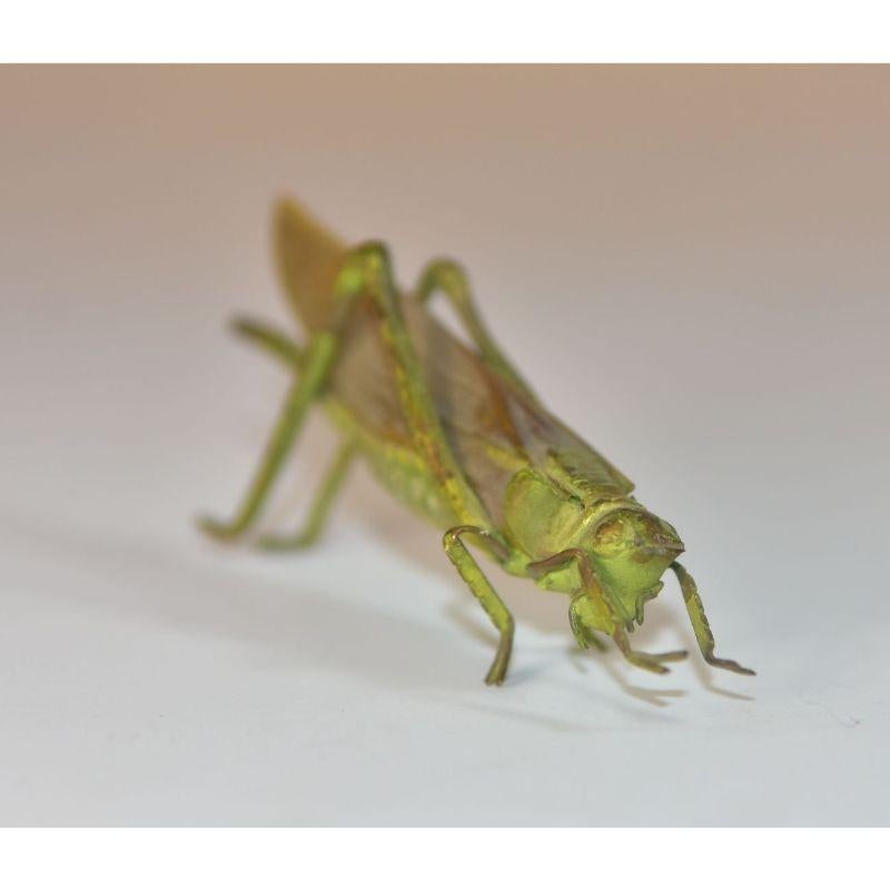 grasshopper for sale