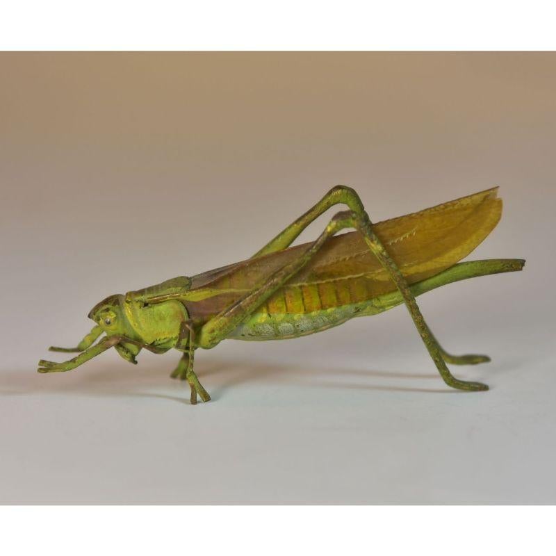 bronze grasshopper