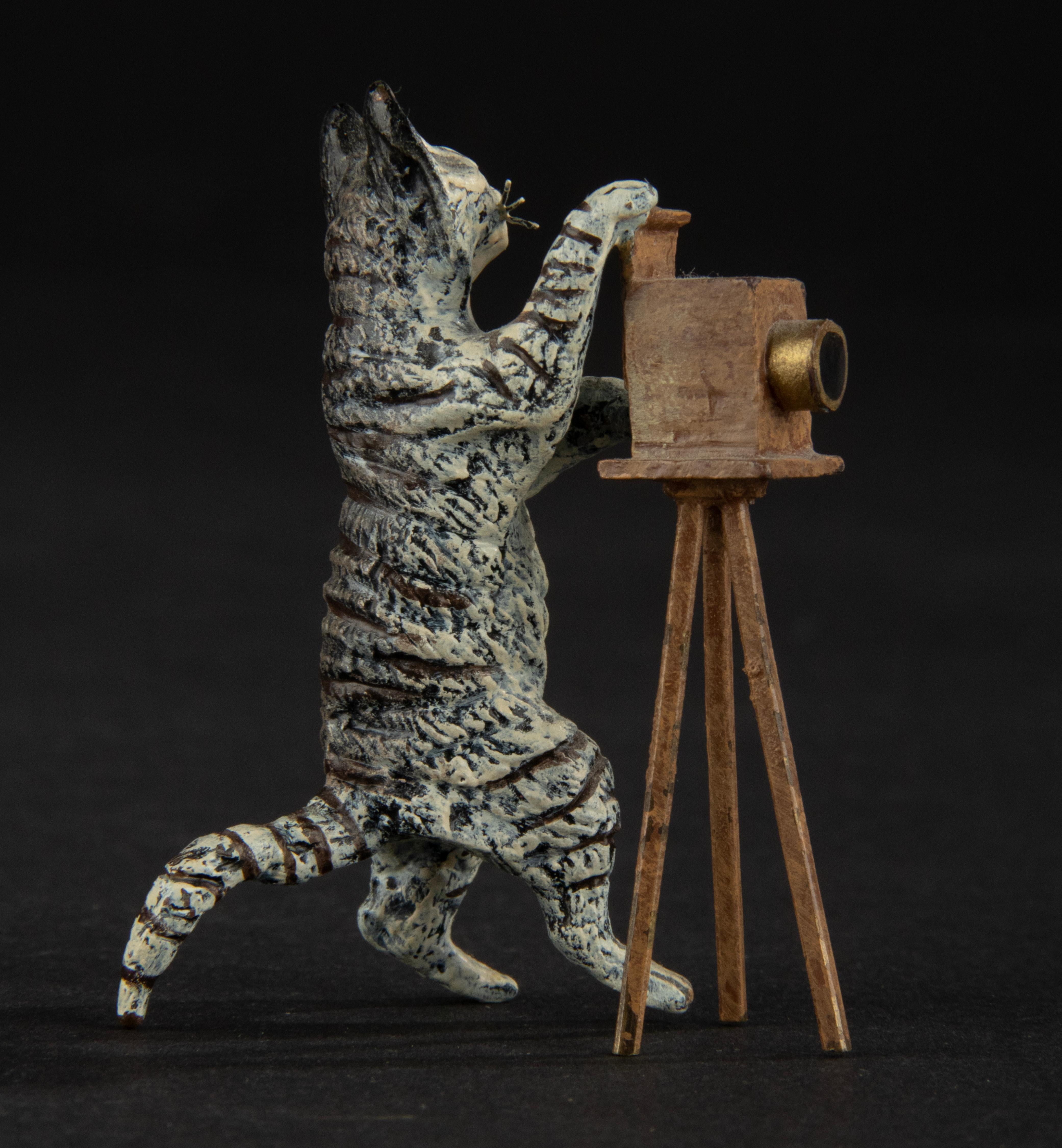 Vienna Bronze Cold Painted Cat with Camera 7