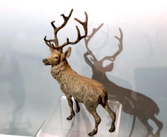 Vienna Bronze Cold Painted Stag, circa 1900