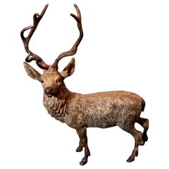 Vienna Bronze Cold Painted Stag, circa 1900