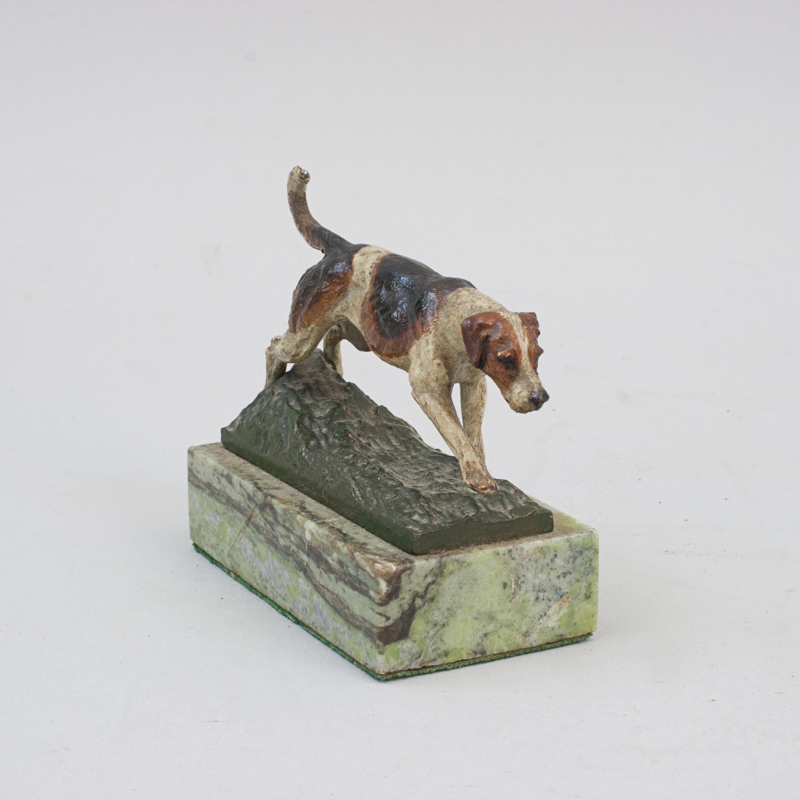 Antique Vienna Bronze Foxhound.
A high quality Austrian/Vienna cold painted bronze study of a fox hound. The hunting dog is well cast and painted but with minor paint loss to the tail. Mounted on a rectangular green veined marble base. Initialled