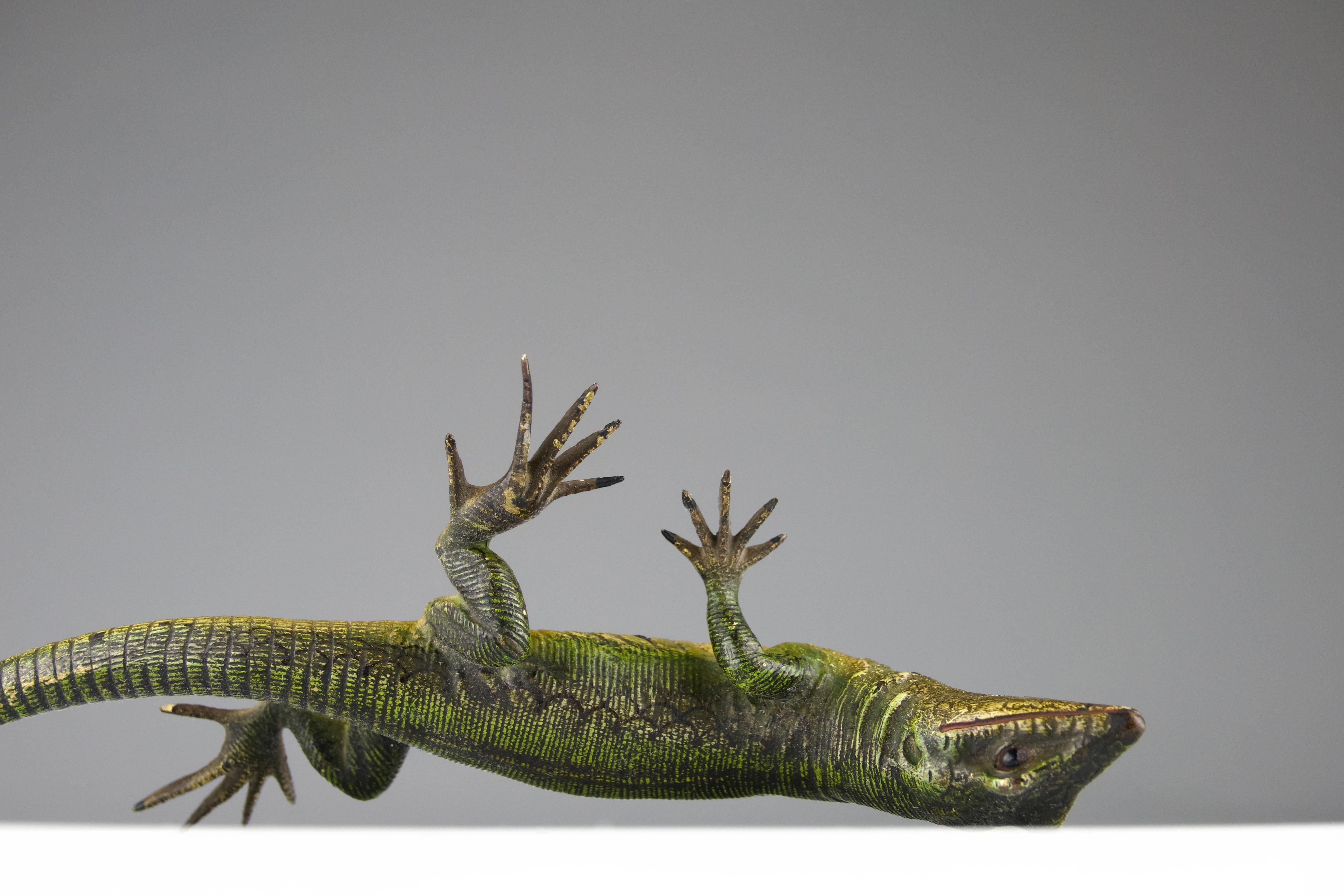 Vienna Bronze, Lizard, Late 19th Century For Sale 10