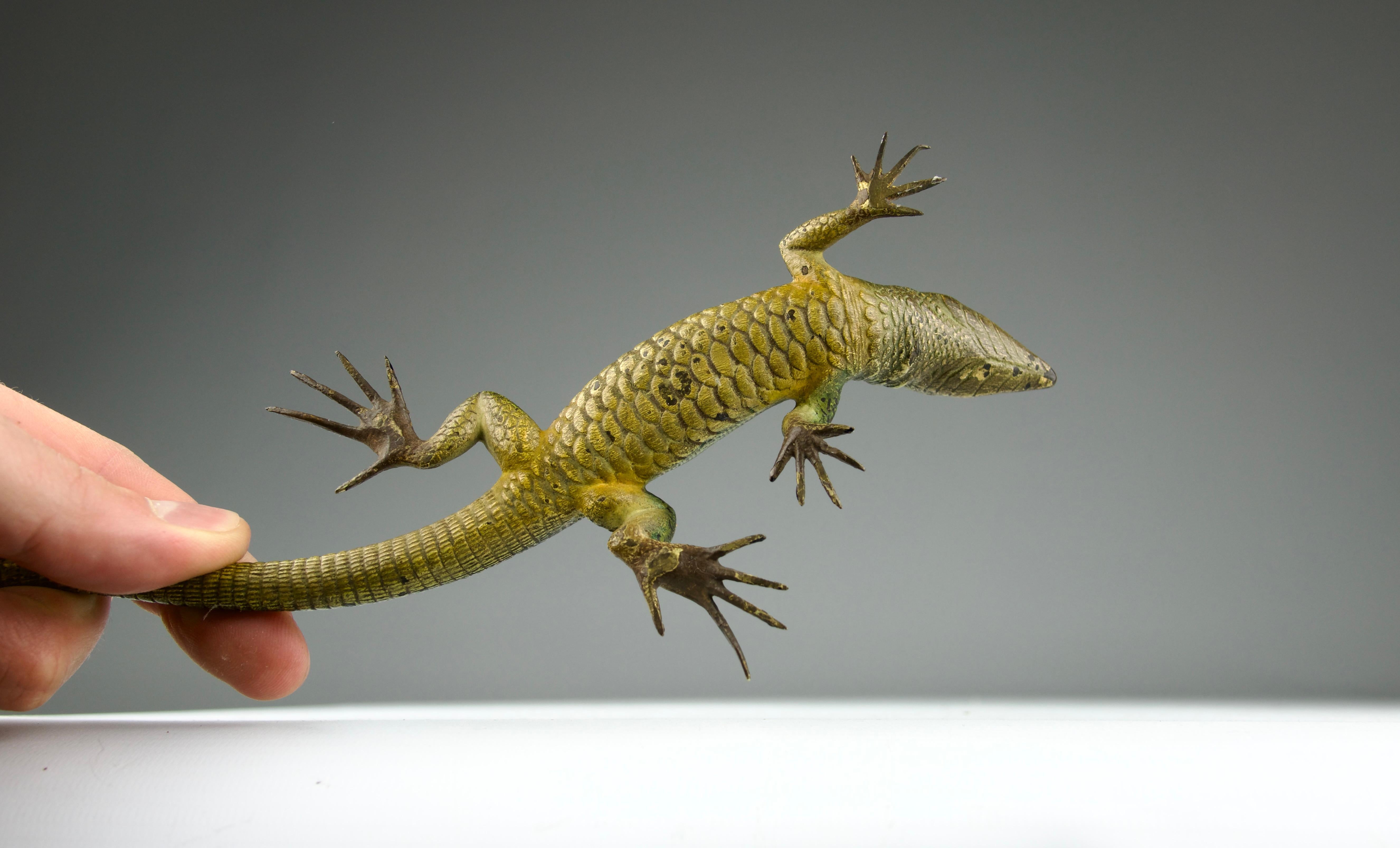 Vienna Bronze, Lizard, Late 19th Century For Sale 12