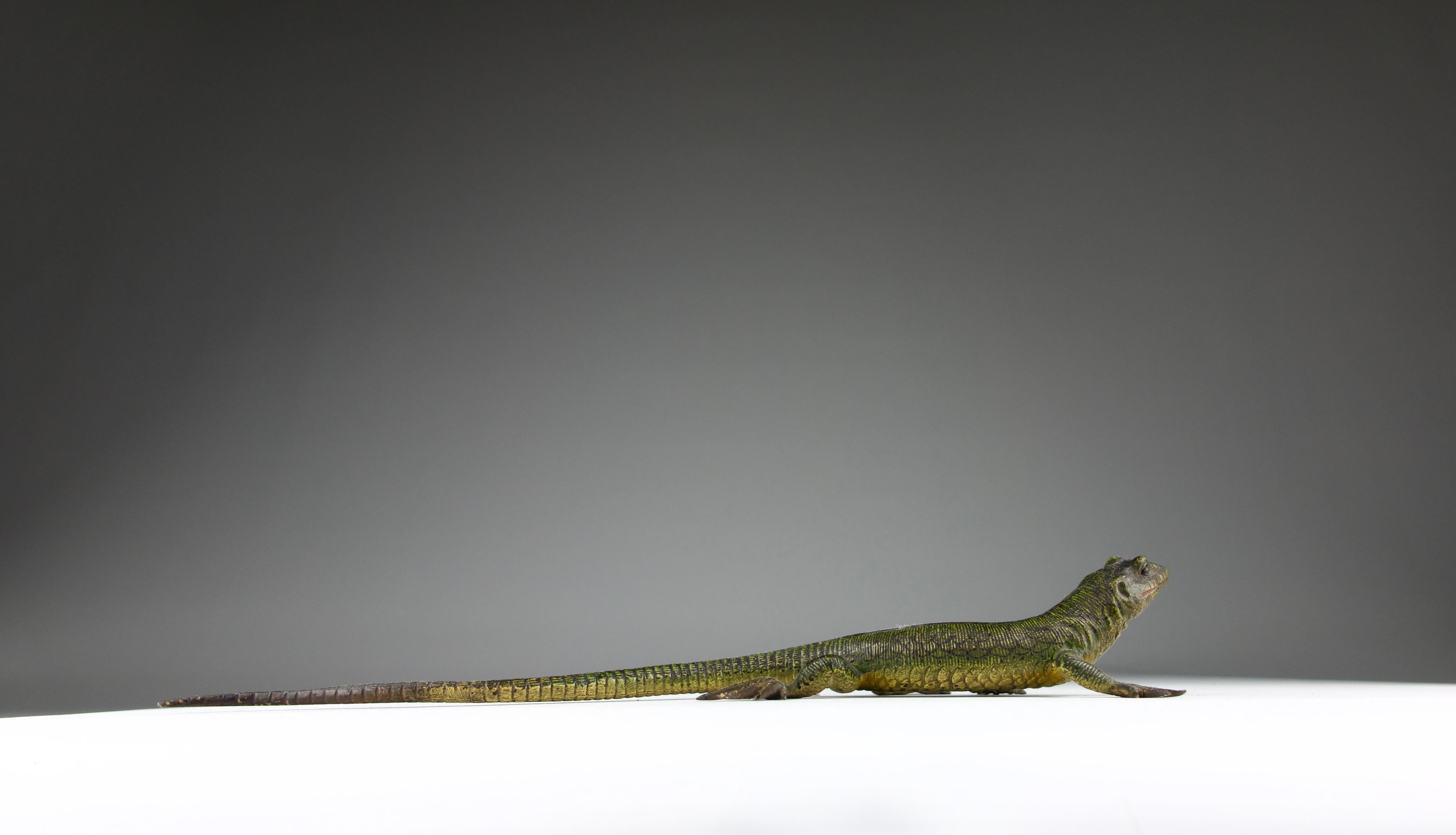 Vienna Bronze, Lizard, Late 19th Century For Sale 1