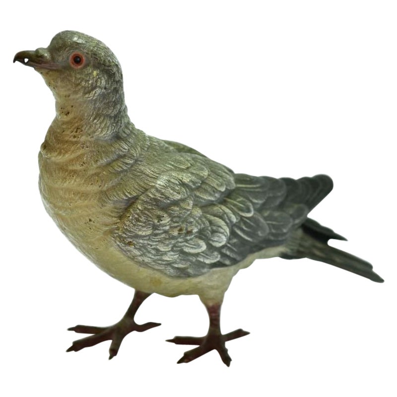 Bronze de Vienna avec pigeon de roche de Geschultz, 19e siècle en vente